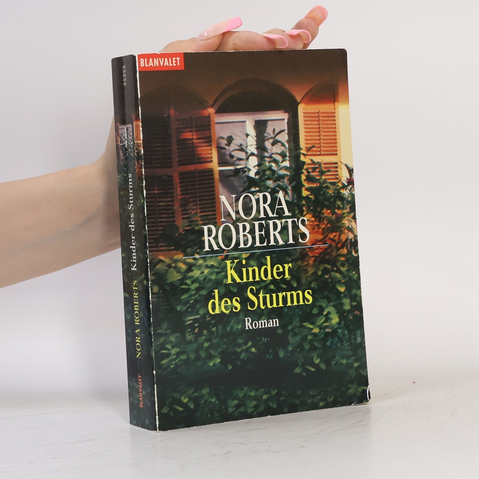 Nora Roberts Kinder des Sturms