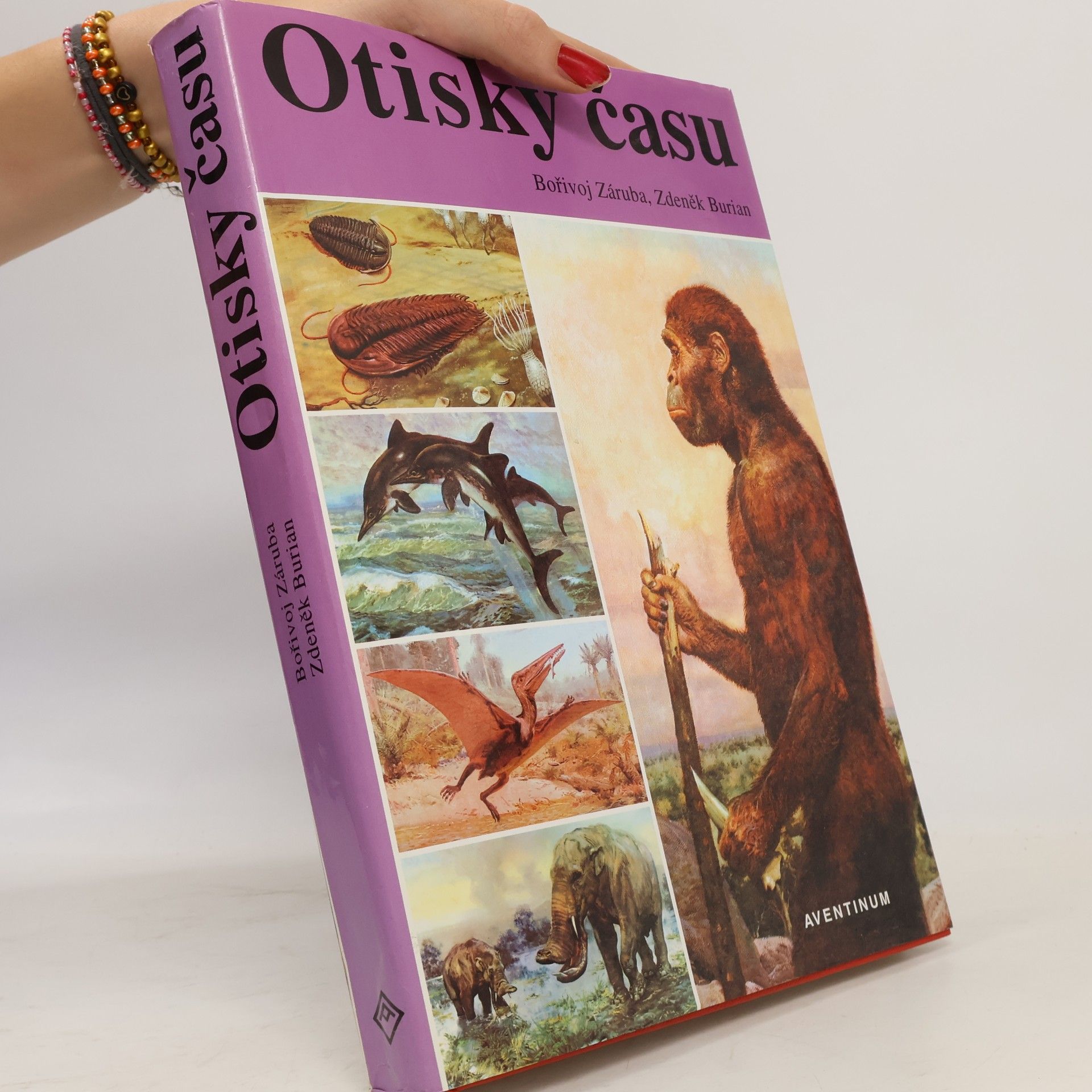 Bořivoj Záruba Otisky času