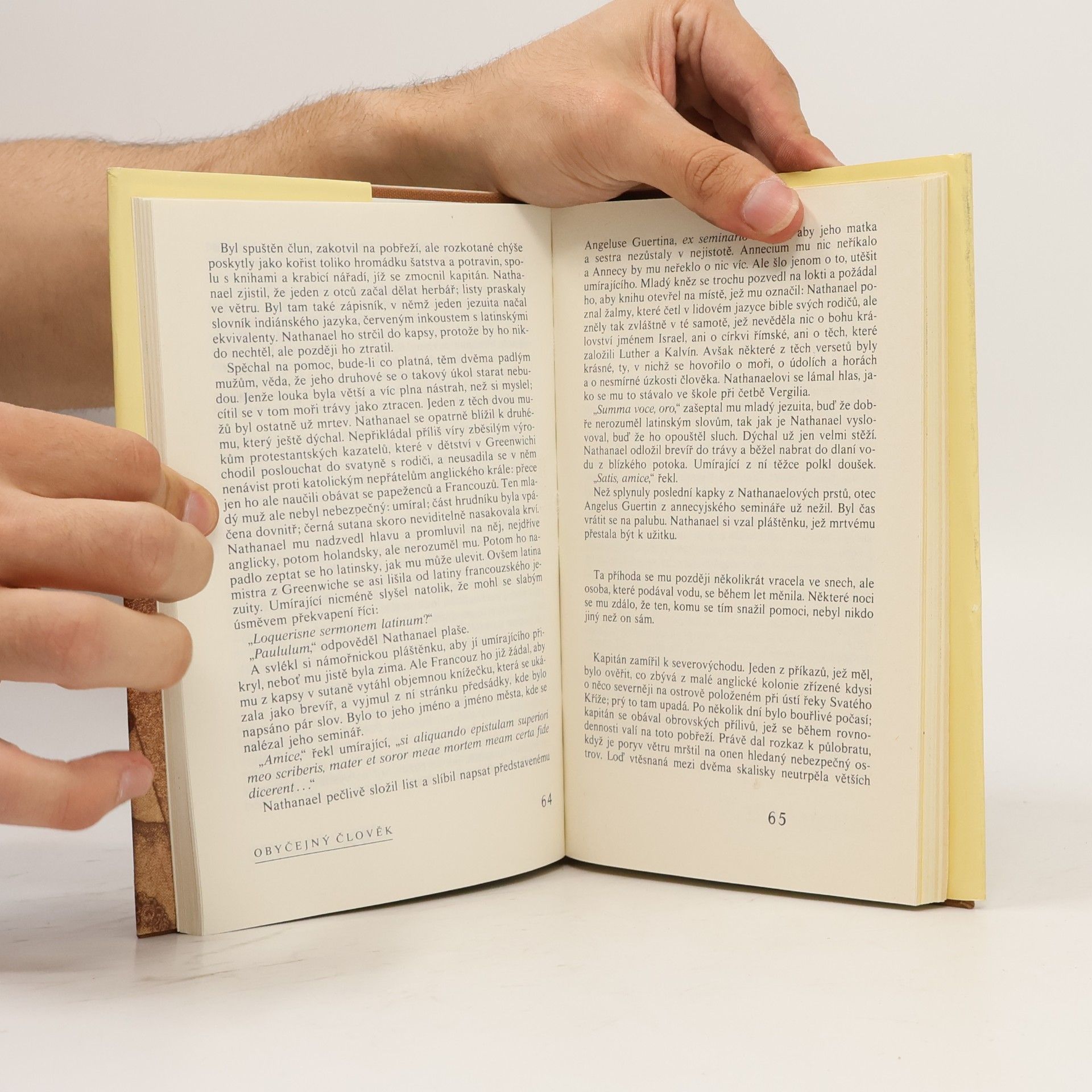Marguerite Yourcenar Jak voda, která plyne