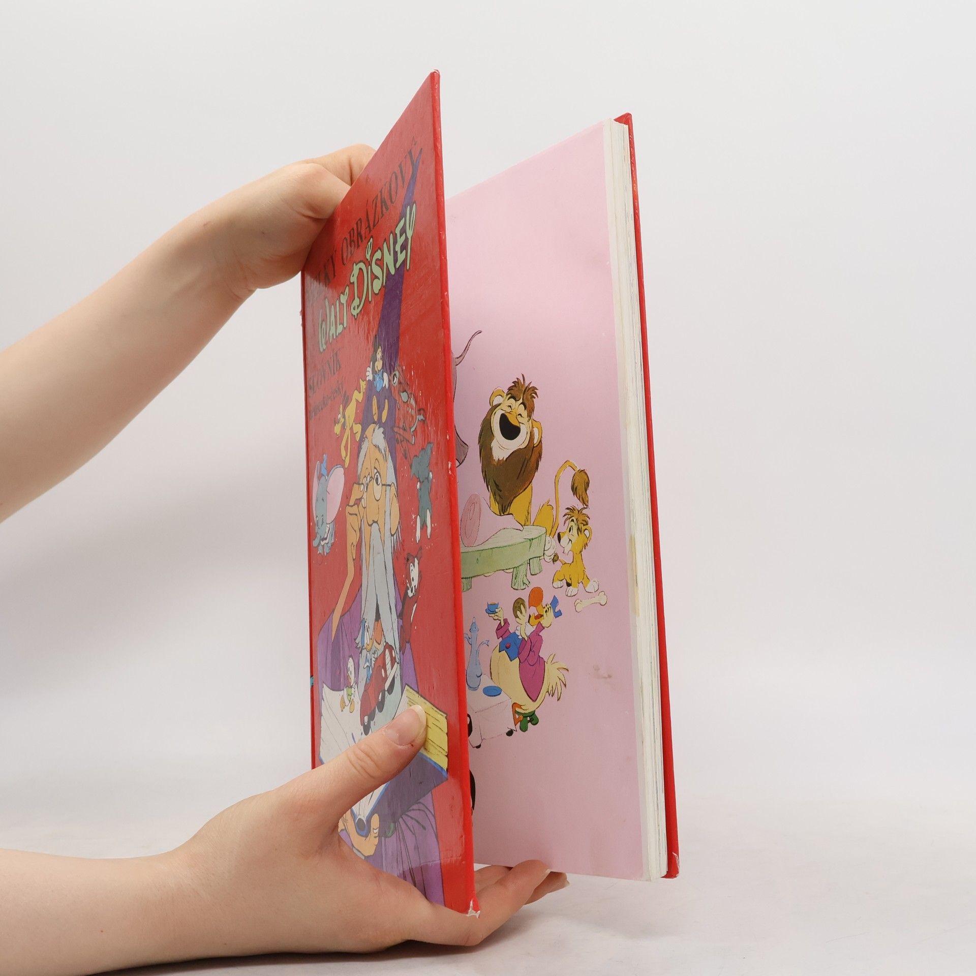 Autores varios Velký obrázkový slovník Walt Disney. Německo-český