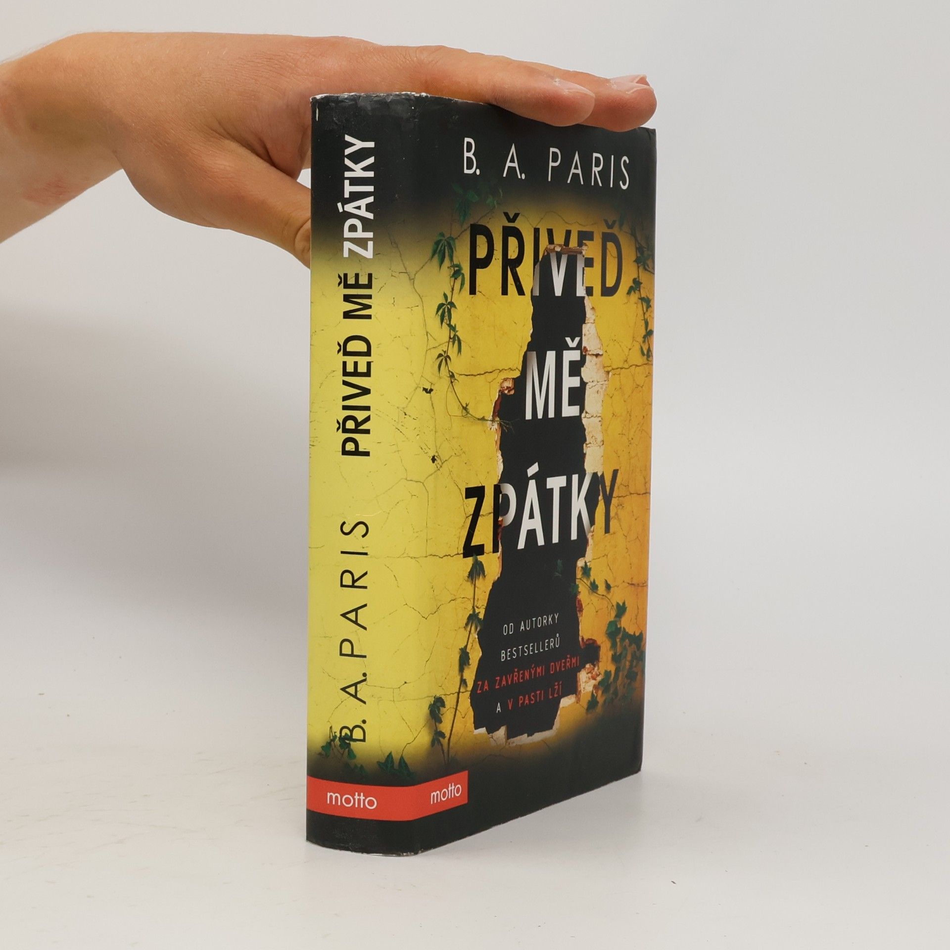 B. A. Paris Přiveď mě zpátky