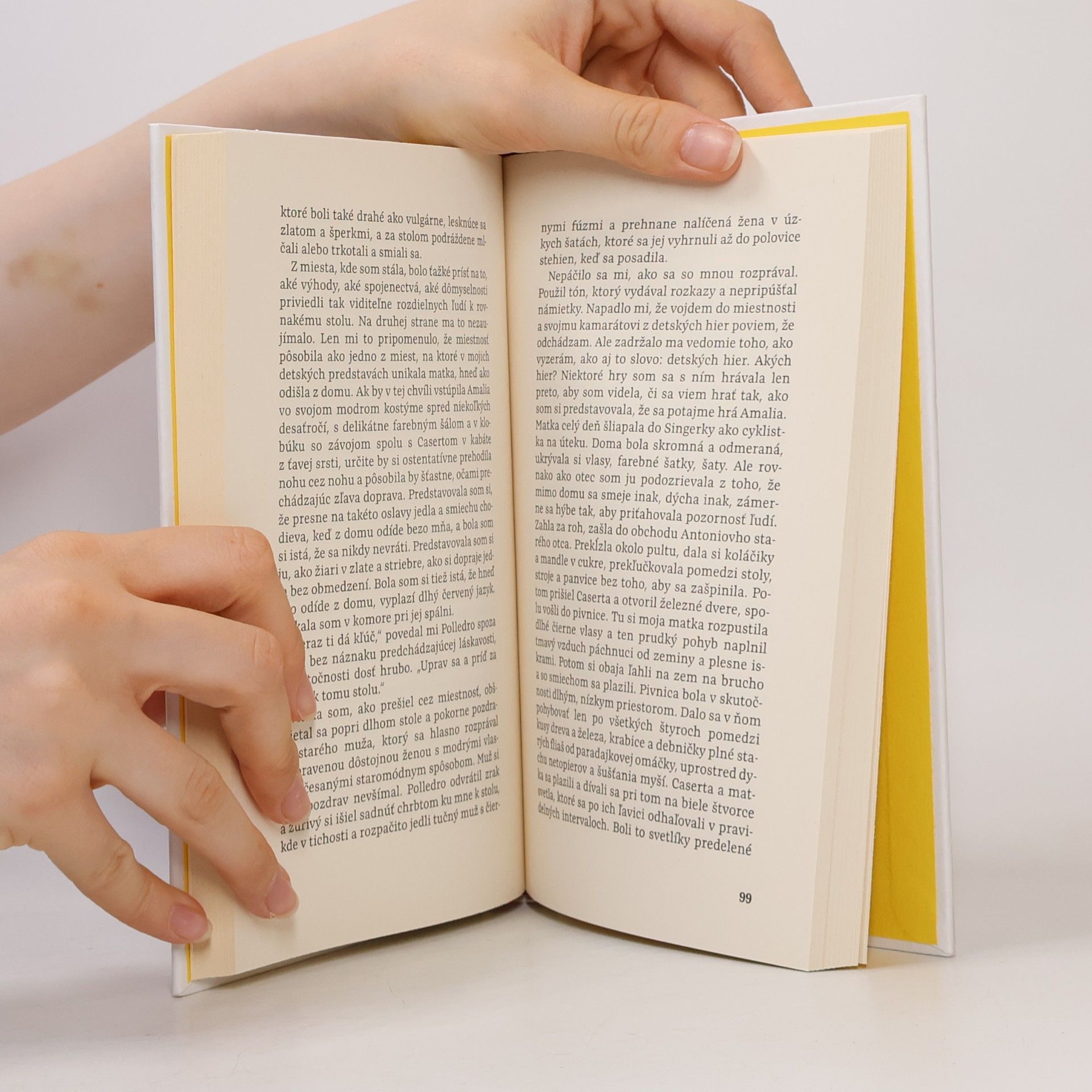 Elena Ferrante Zraňujúca láska
