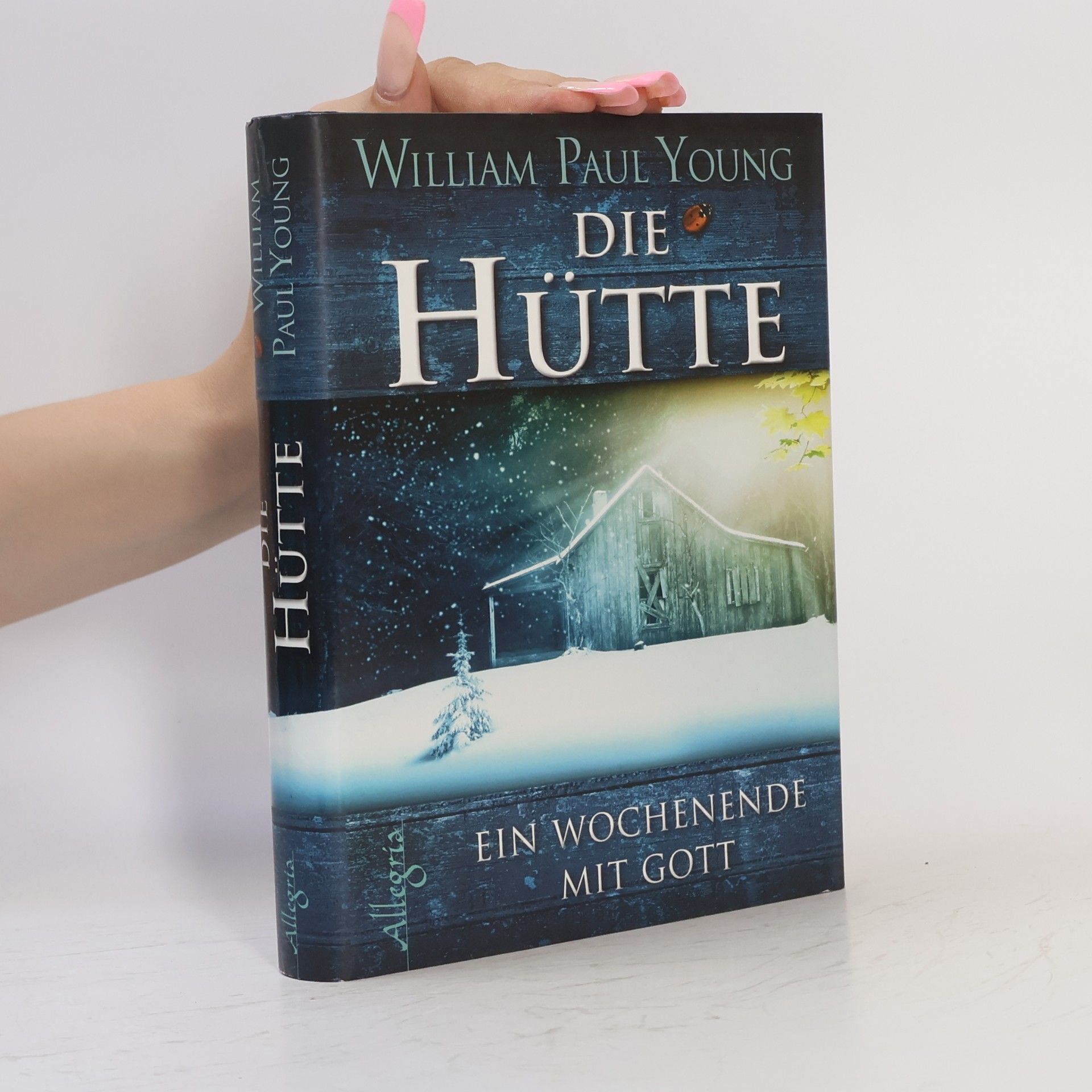 William P. Young Die Hütte