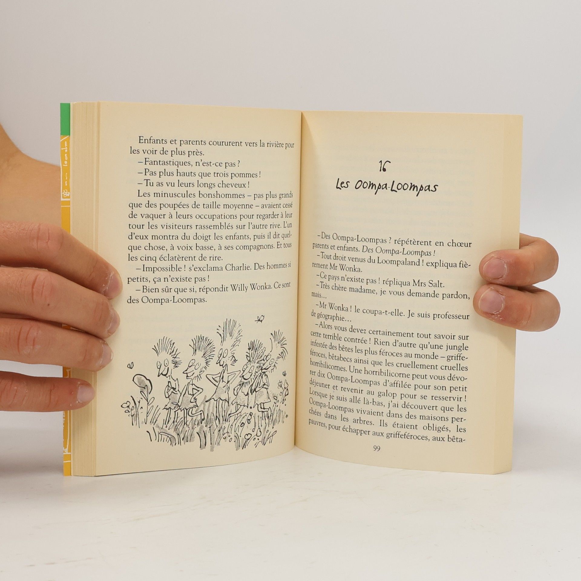 Roald Dahl Charlie et la chocolaterie