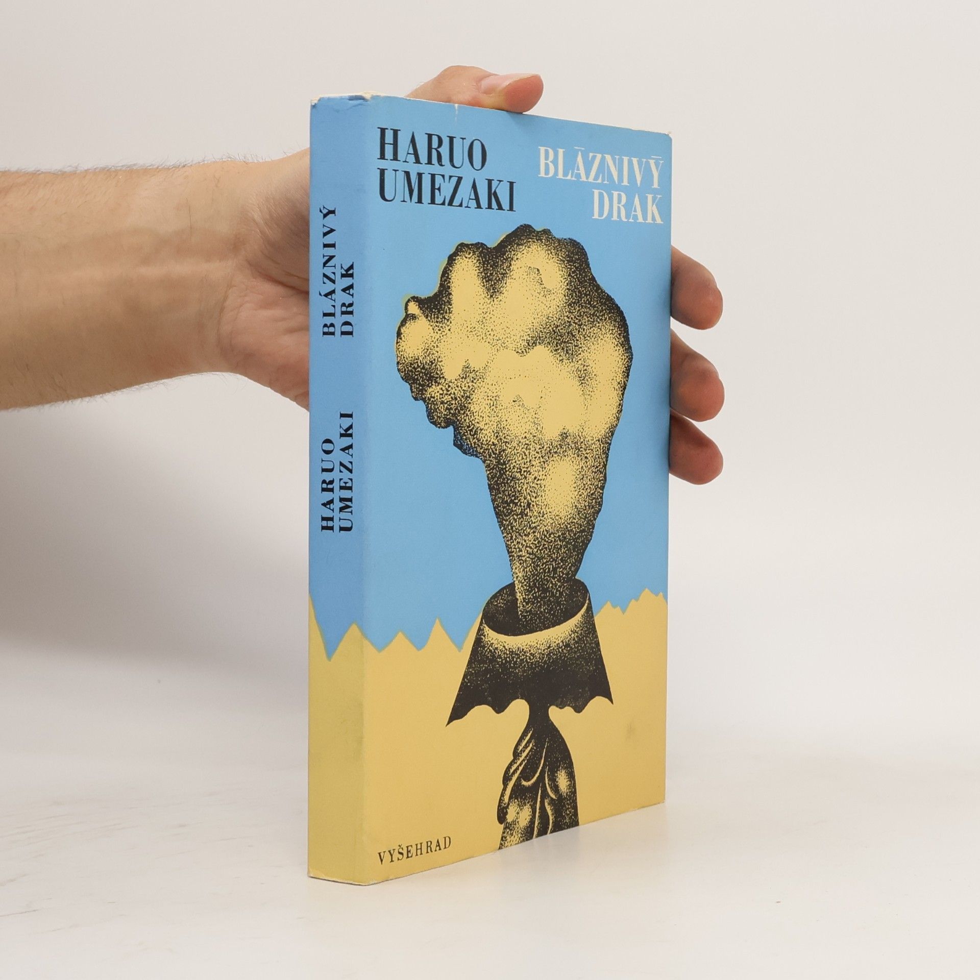 Haruo Umezaki Bláznivý drak