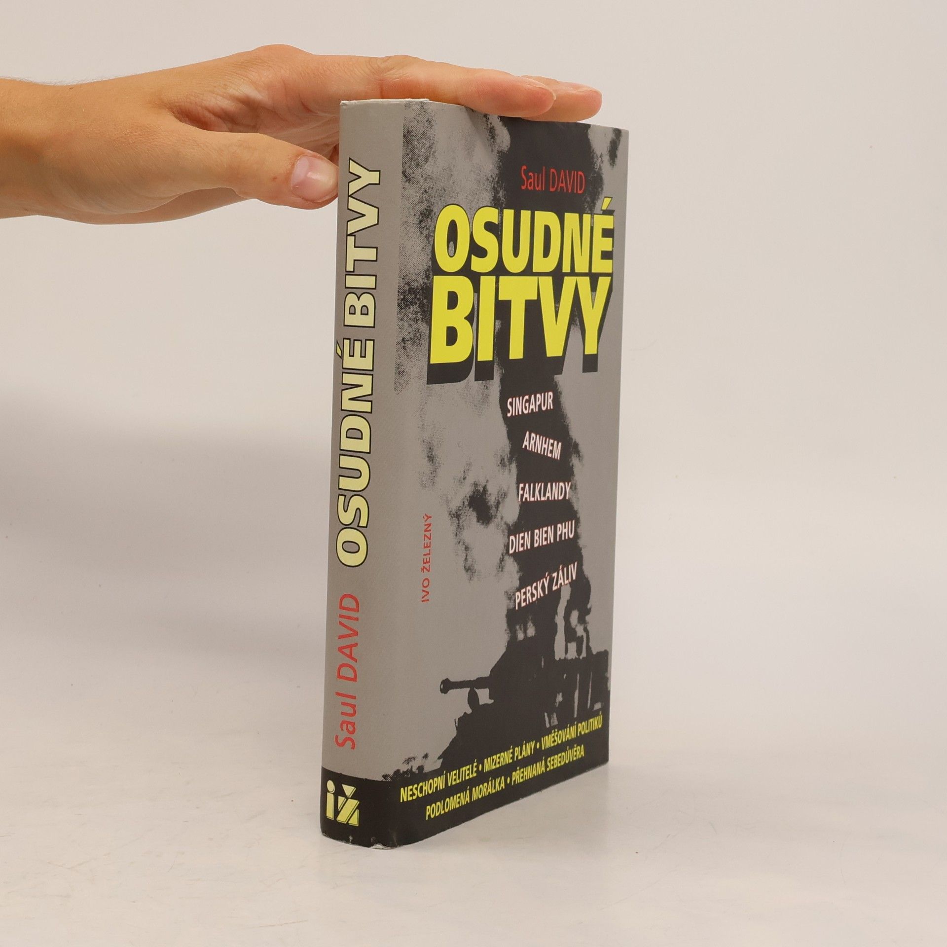 Saul David Osudné bitvy