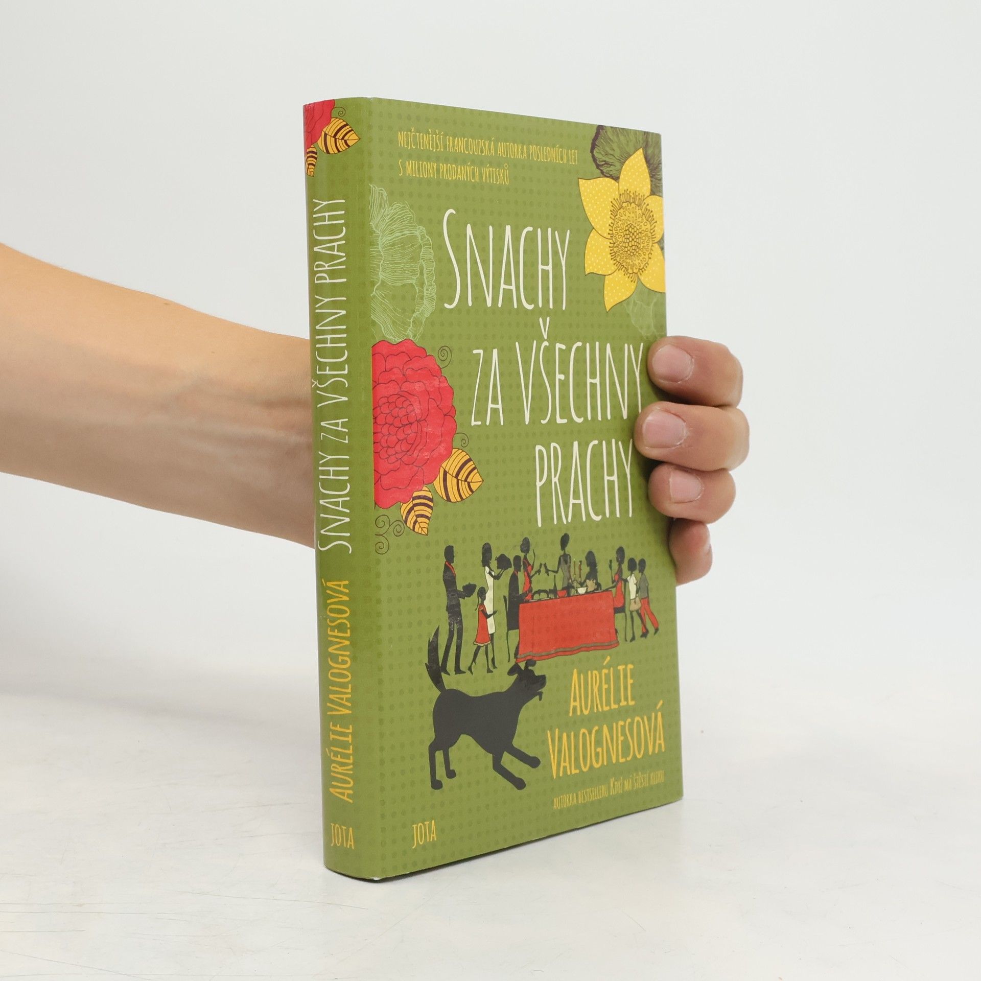 Aurélie Valognes Snachy za všechny prachy
