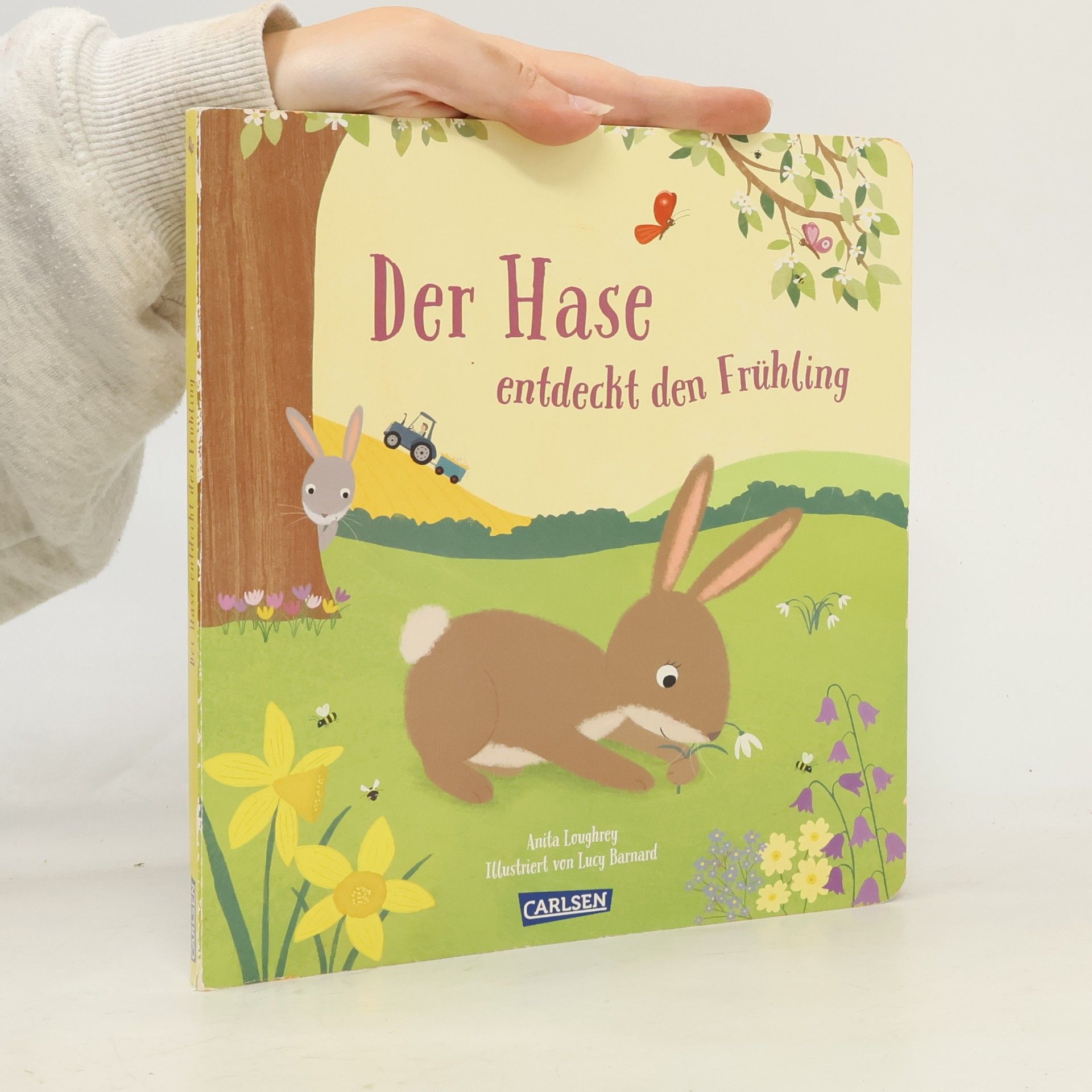 Anita Loughrey Der Hase entdeckt den Frühling