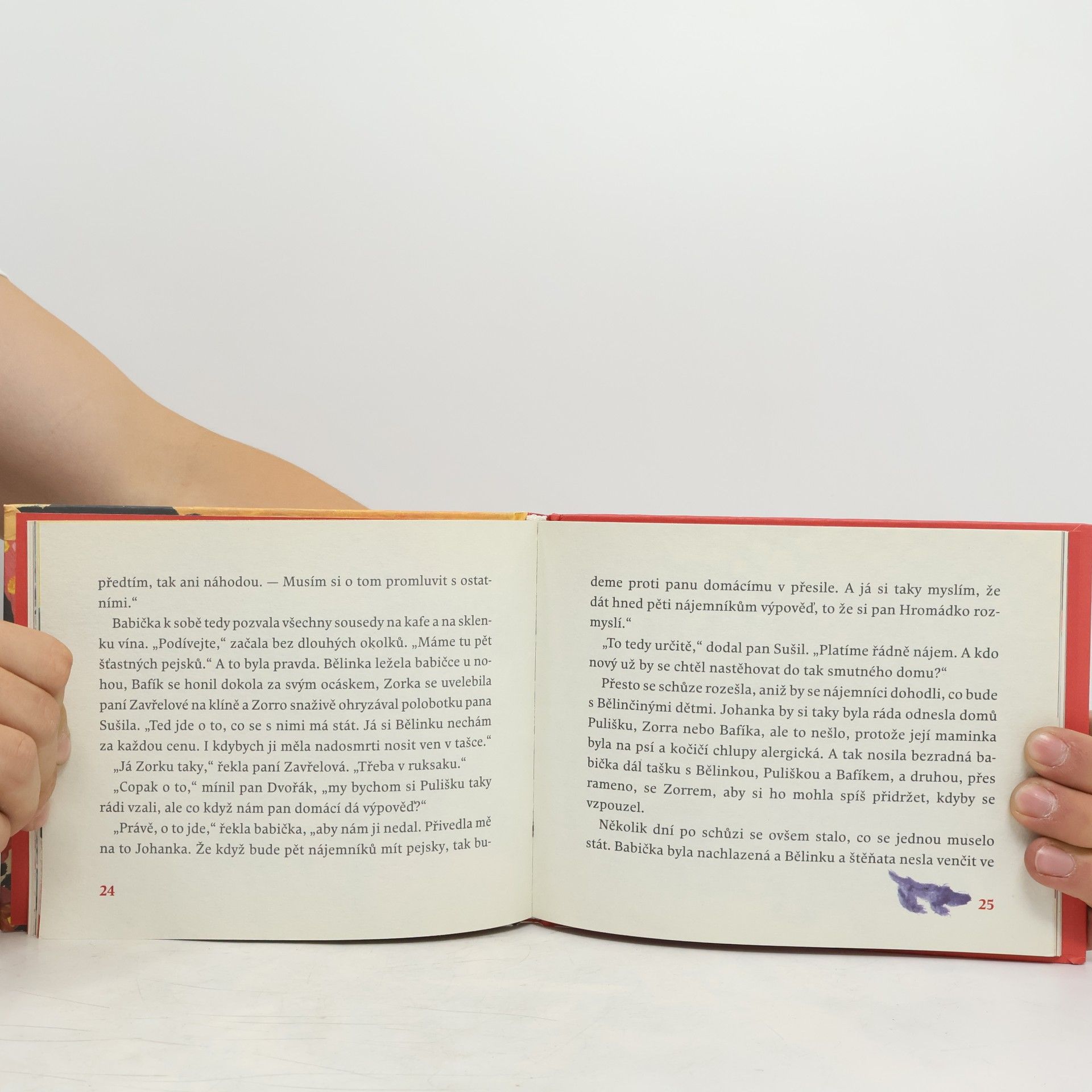 Viola Fischerová Jak zvířátka uzdravila smutný dům