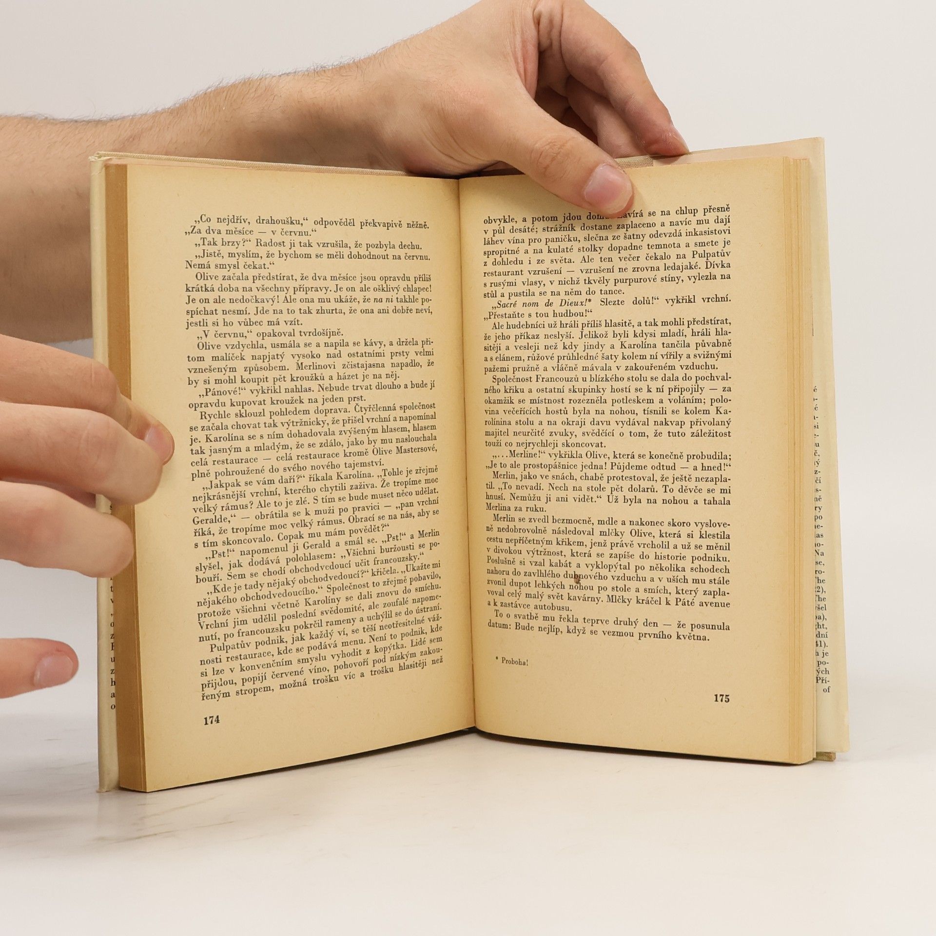 Francis Scott Fitzgerald Diamant velký jako Ritz