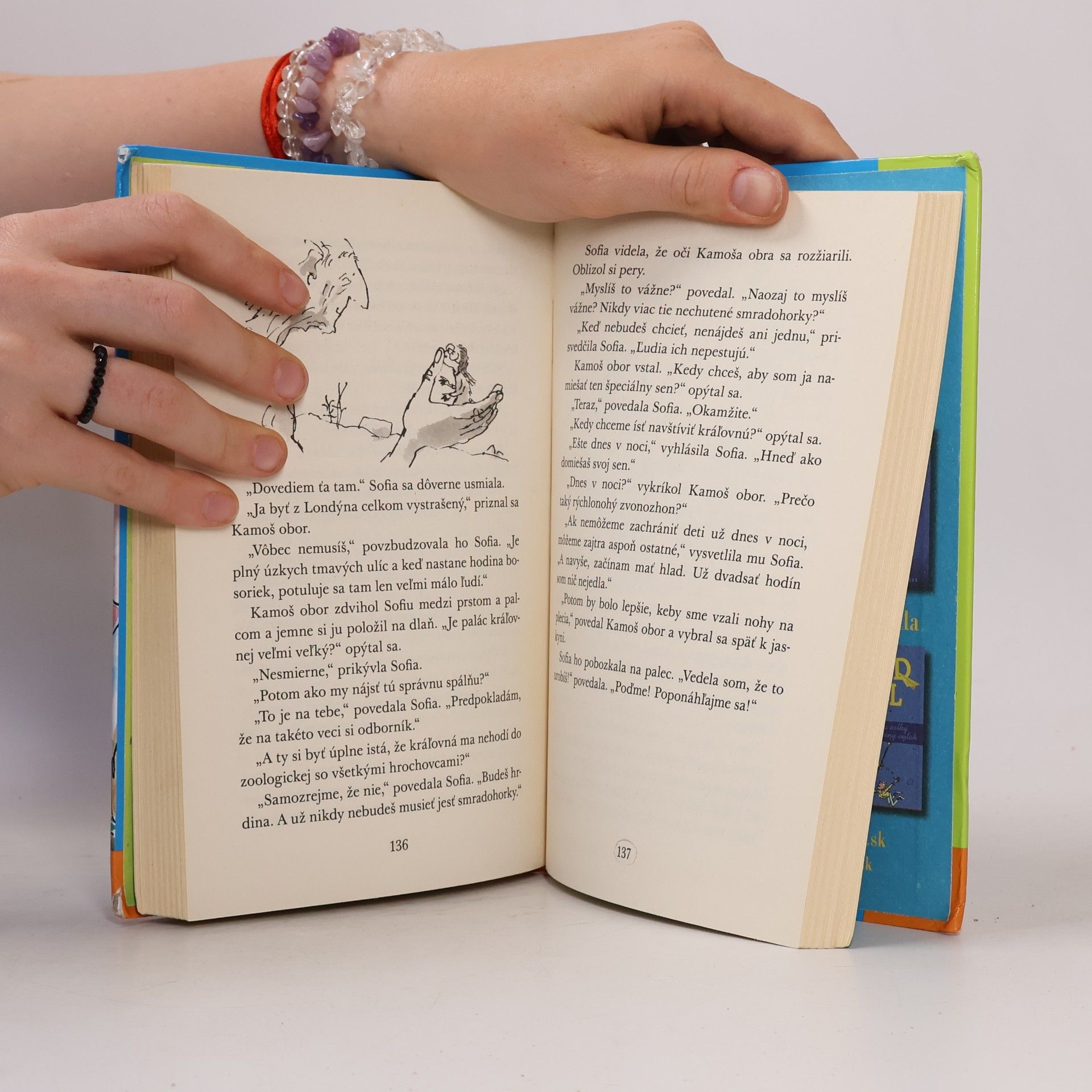Roald Dahl Kamoš obor
