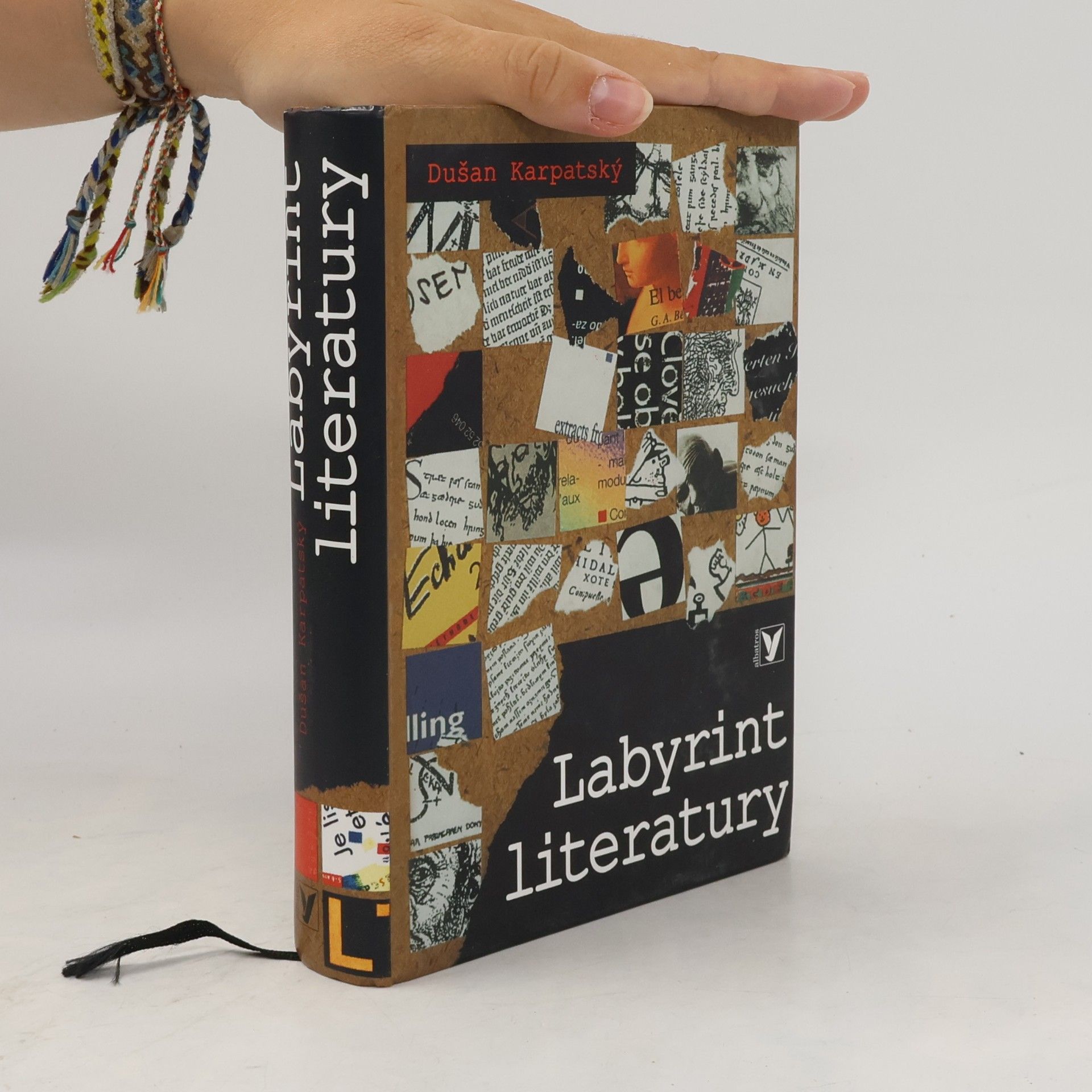 Dušan Karpatský Labyrint literatury