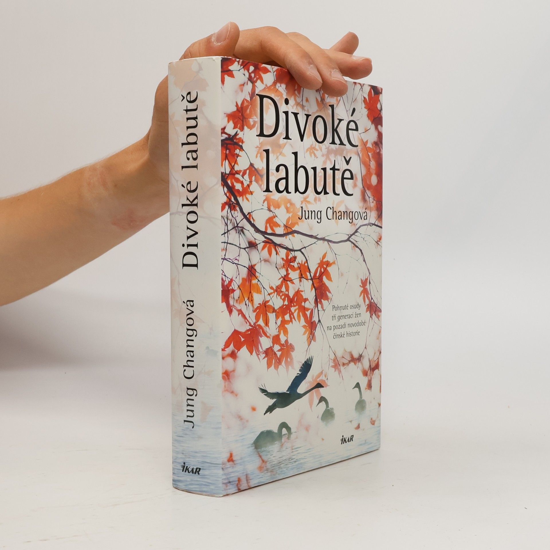 Yong Chang Divoké labutě