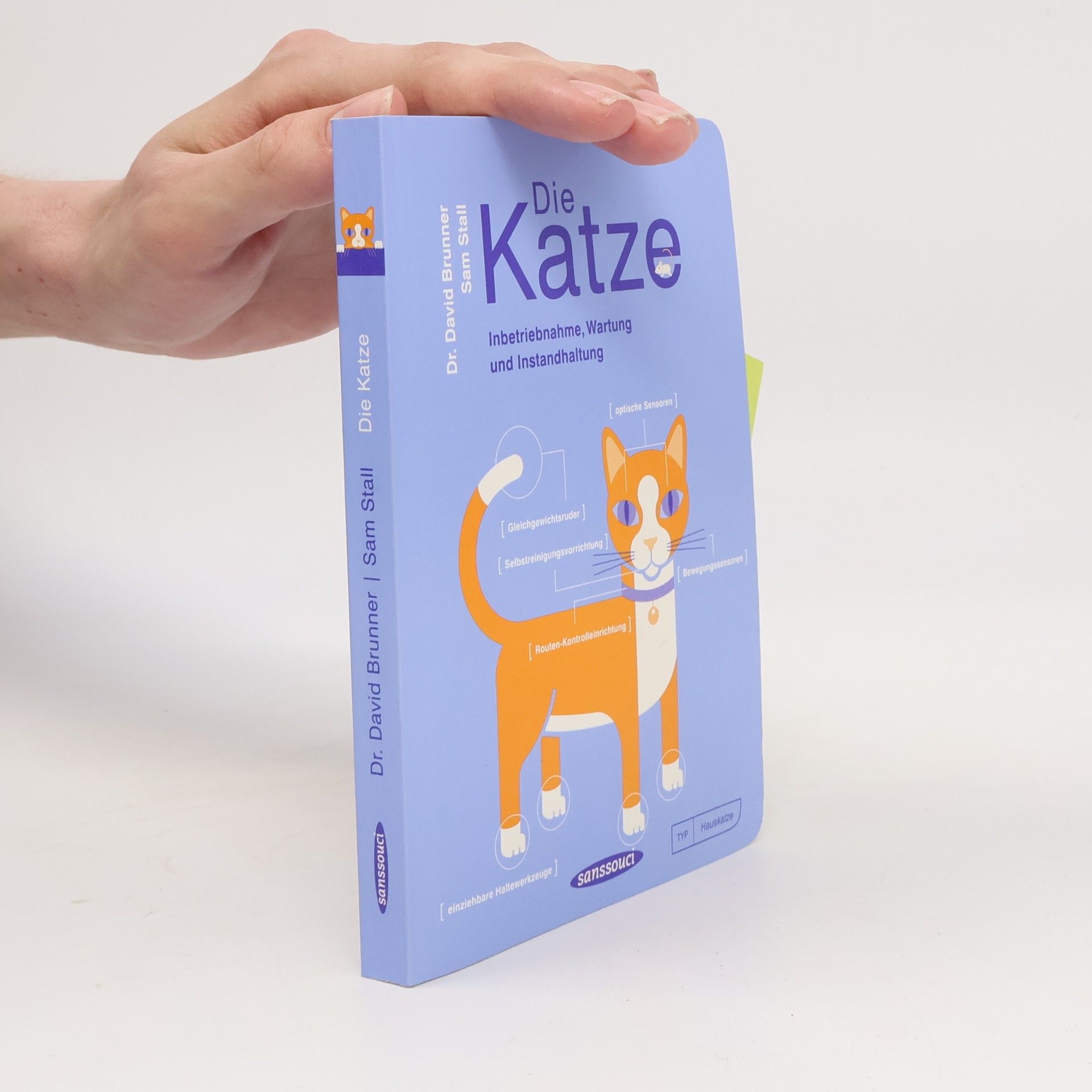 David Brunner Die Katze