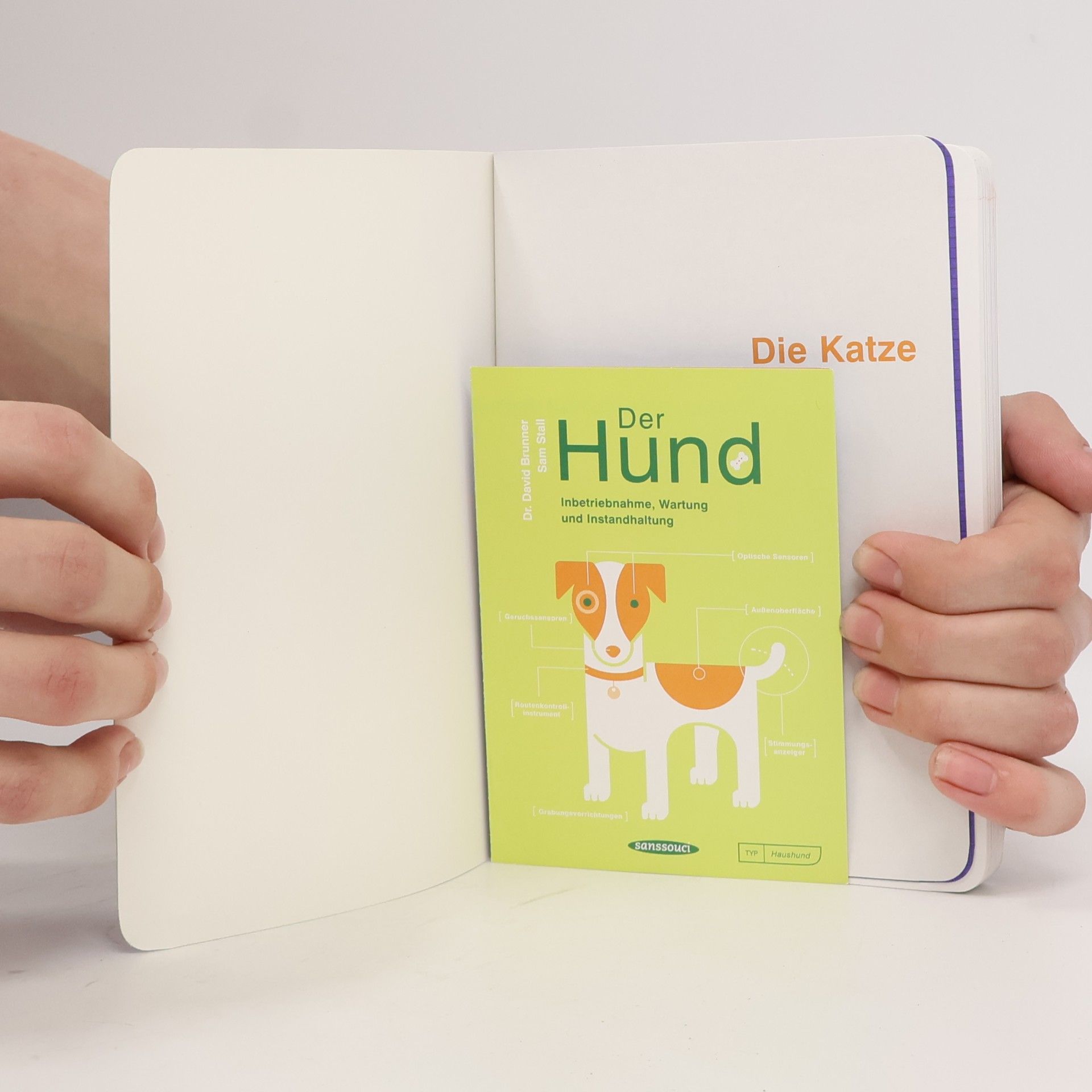 David Brunner Die Katze