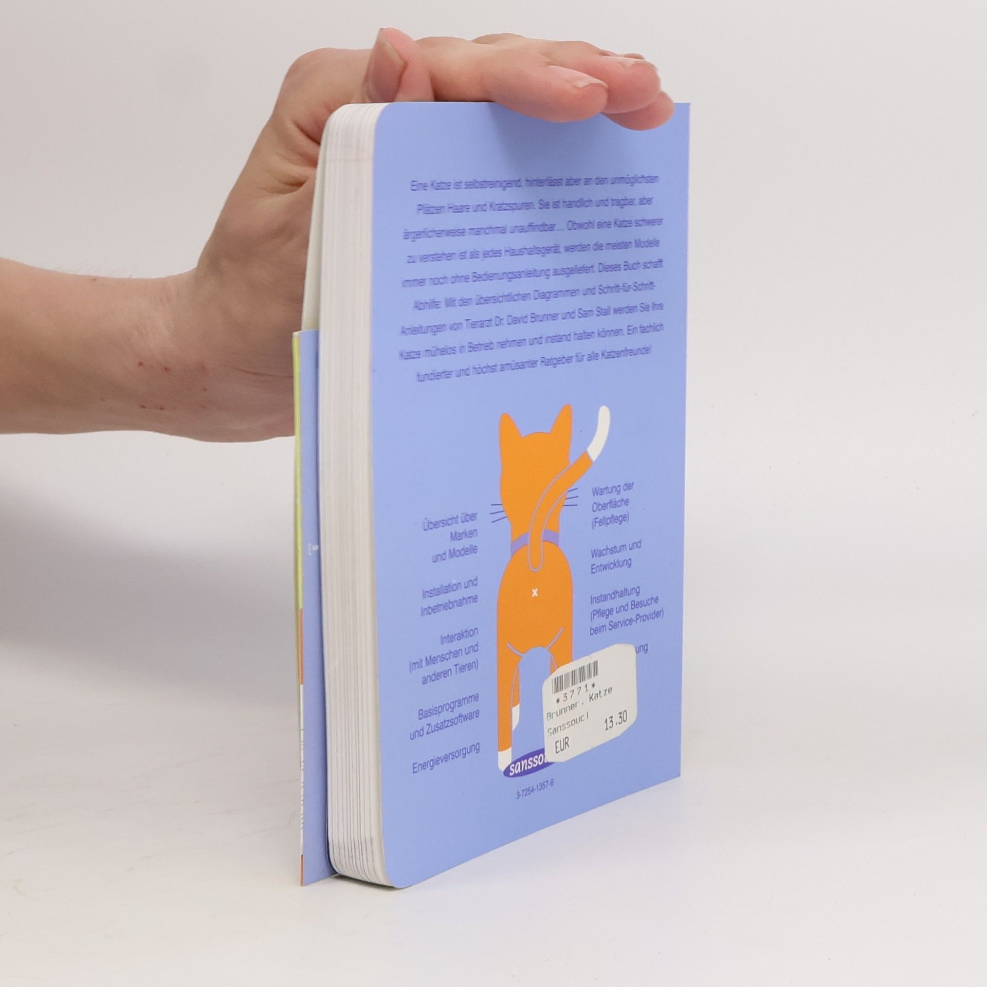 David Brunner Die Katze