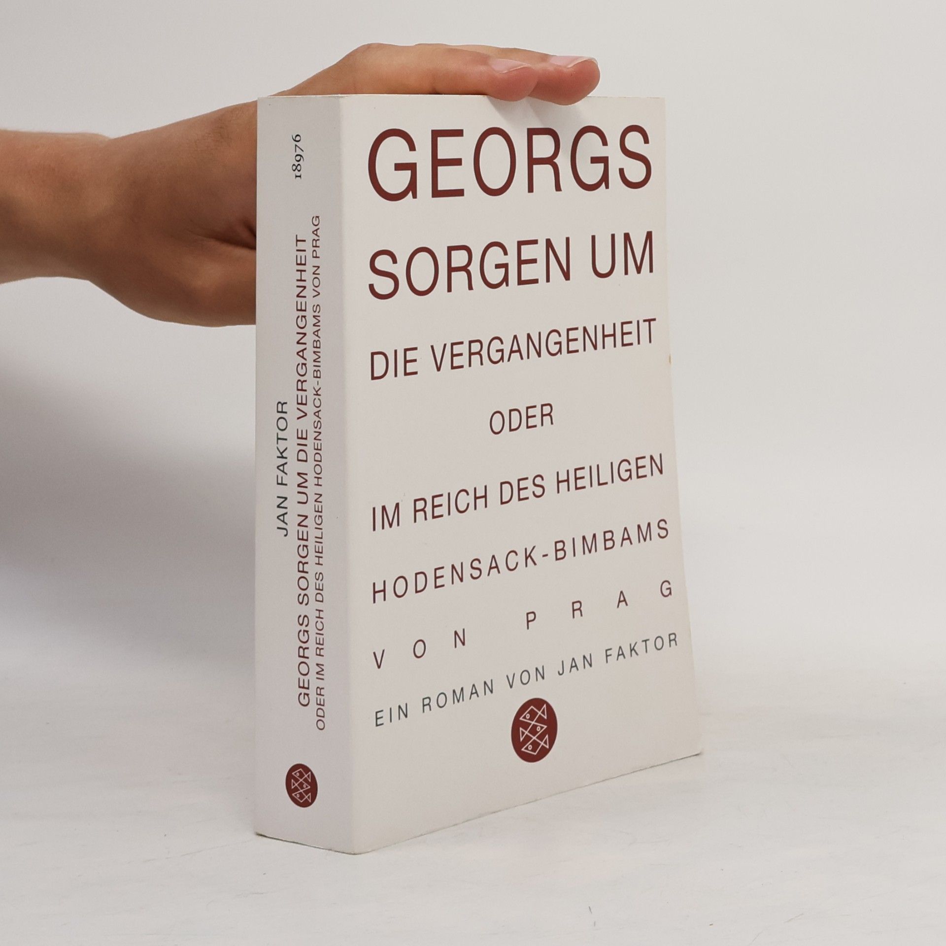 Jan Faktor Georgs Sorgen um die Vergangenheit oder Im Reich des heiligen Hodensack-Bimbams von Prag. Roman