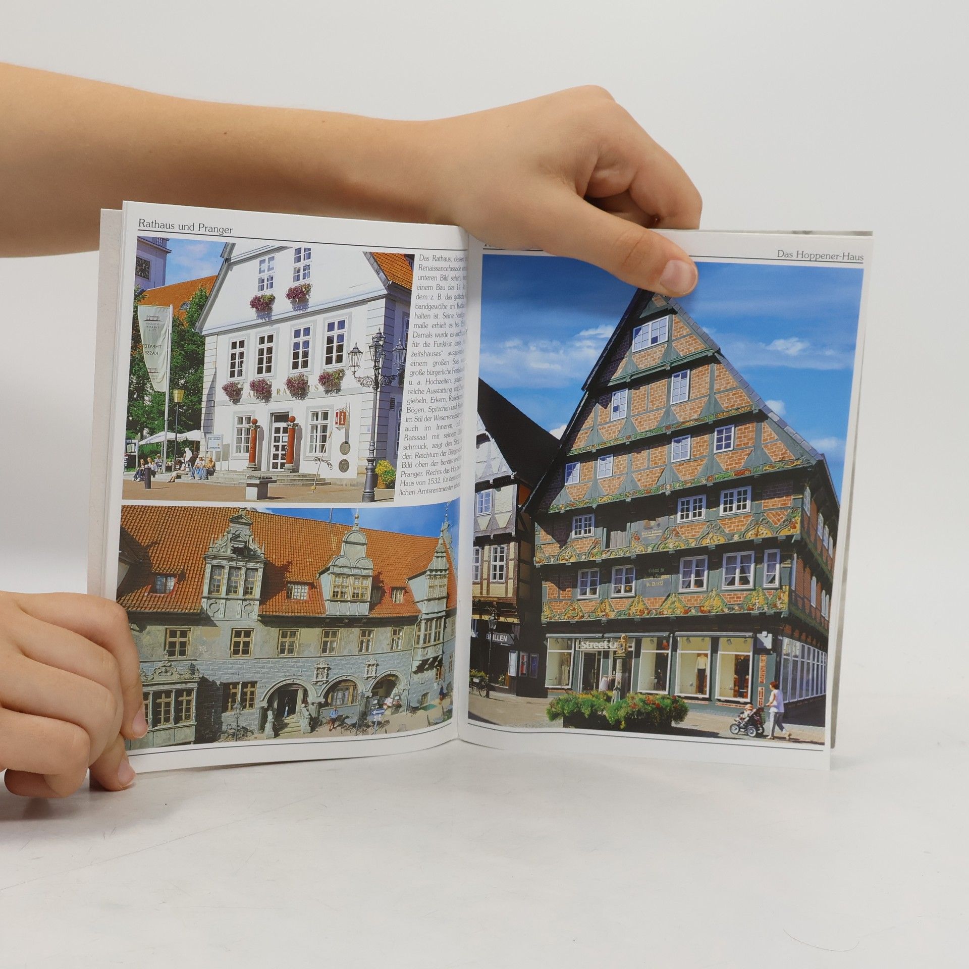 R. Dohrmann Herzogstadt Celle am Südrand der Lüneburger Heide