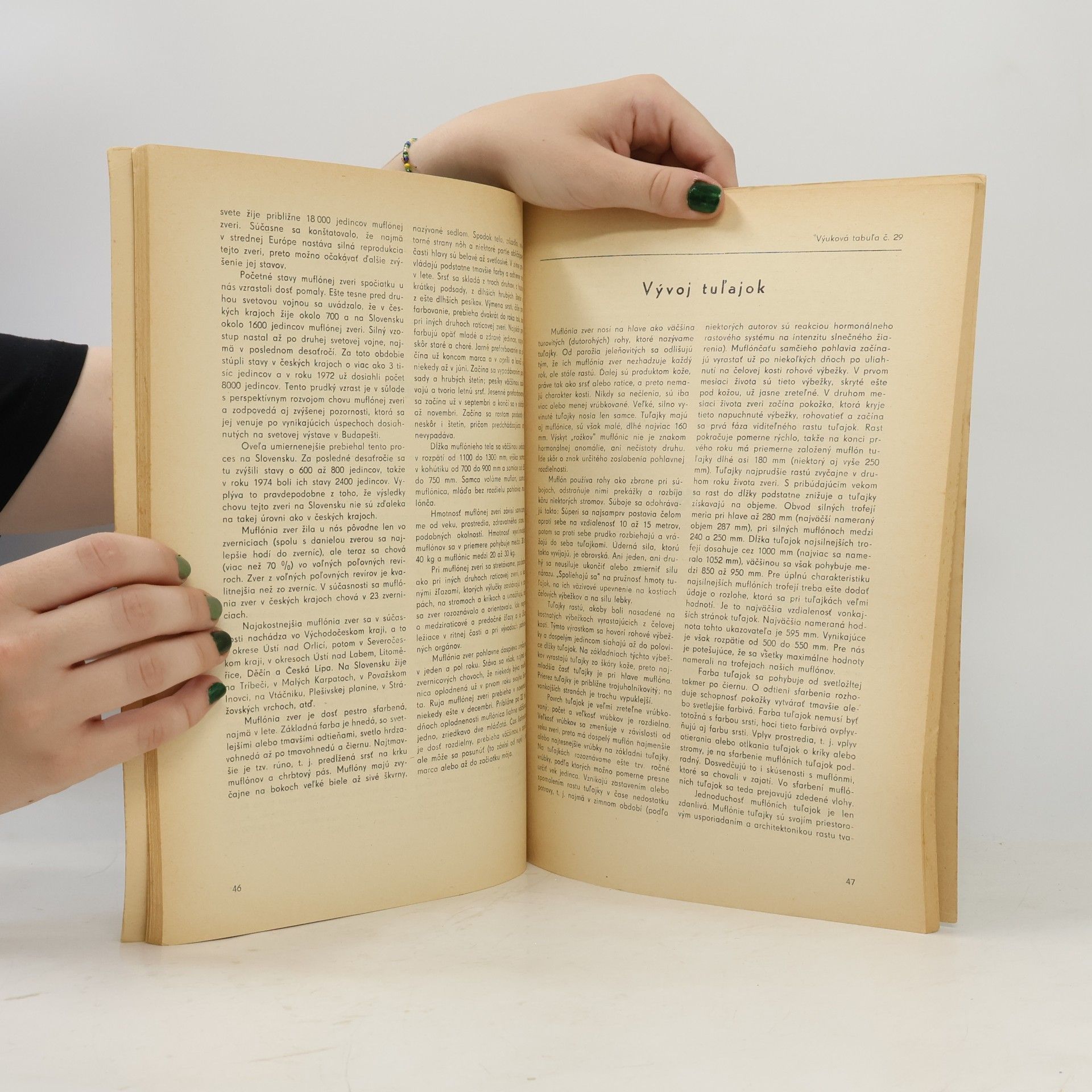 Autorenkollektiv Poľovníctvo v obrazoch