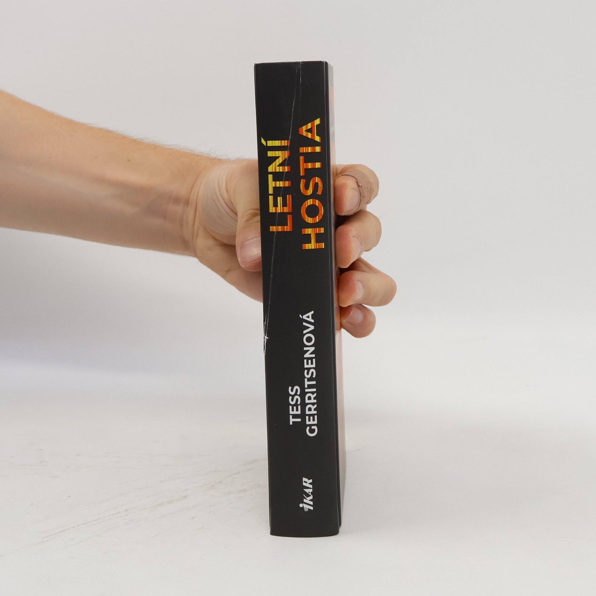 Tess Gerritsen Letní hostia