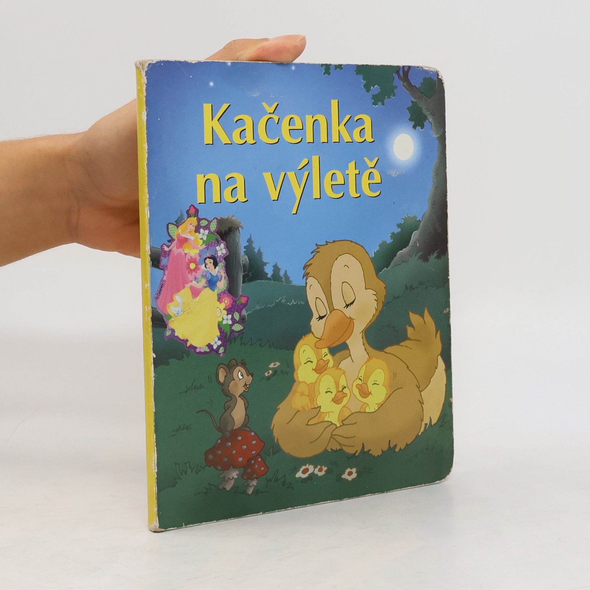 Autorenkollektiv Kačenka na výletě