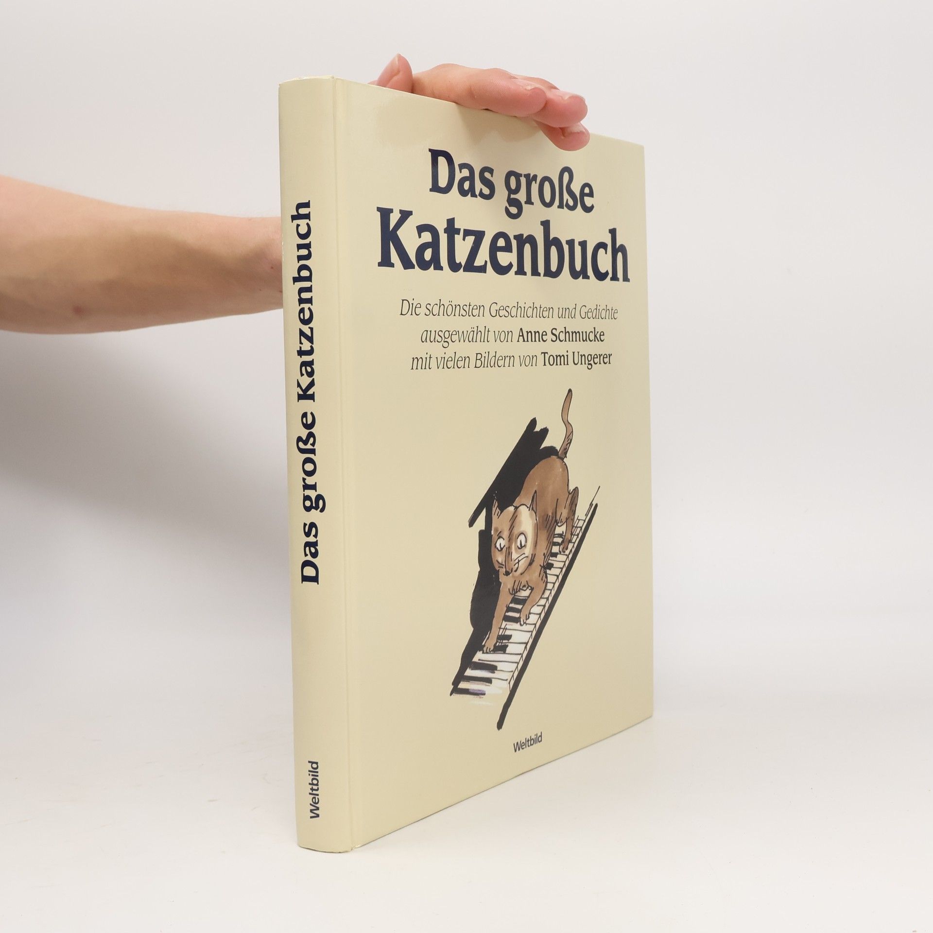 Das große Katzenbuch
