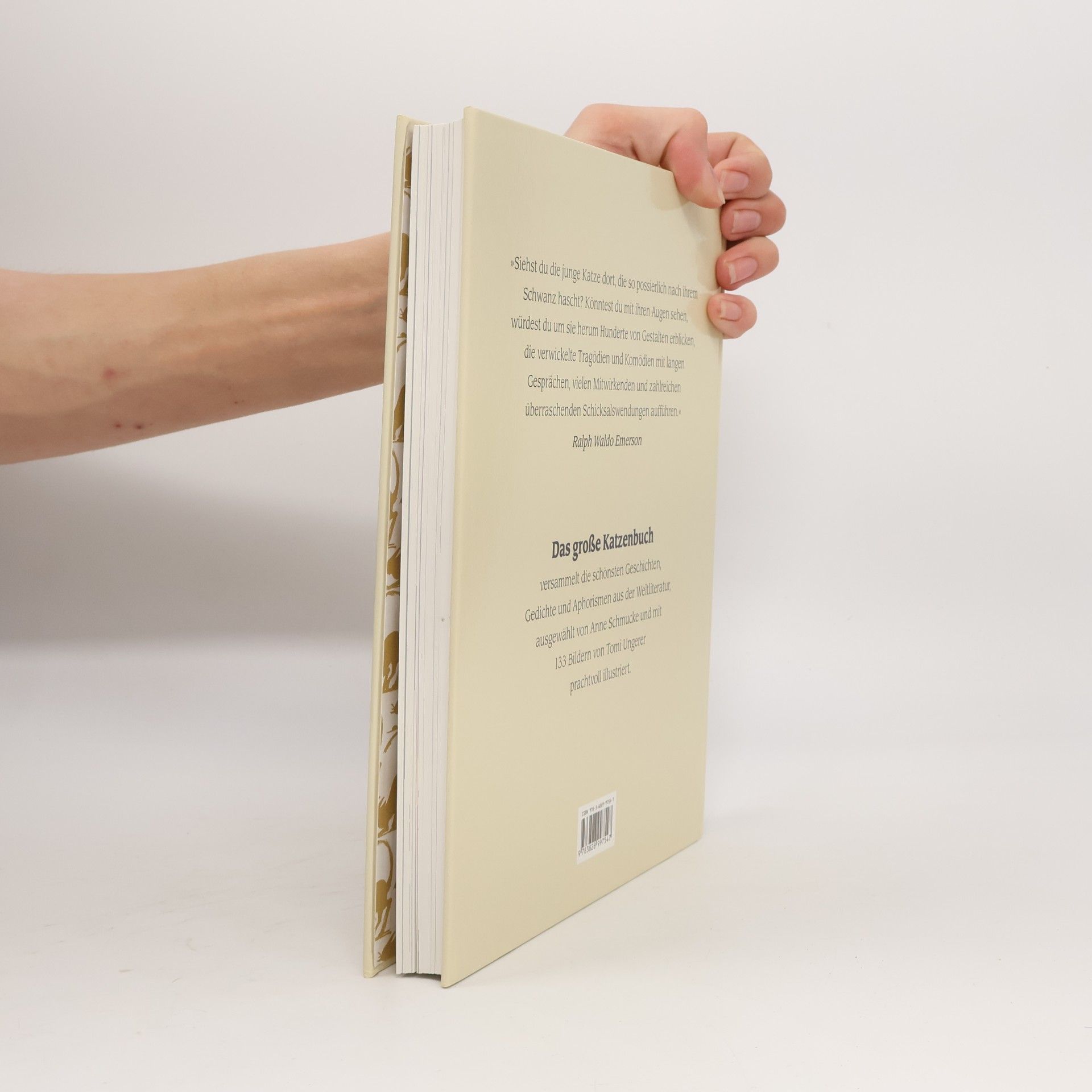 Anne Schmucke Das große Katzenbuch