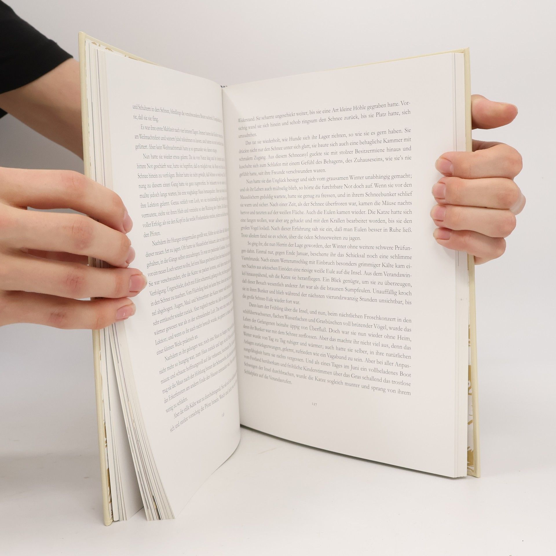 Anne Schmucke Das große Katzenbuch