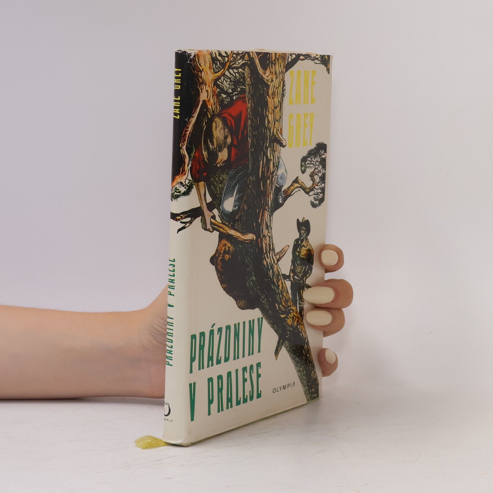 Zane Grey Prázdniny v pralese