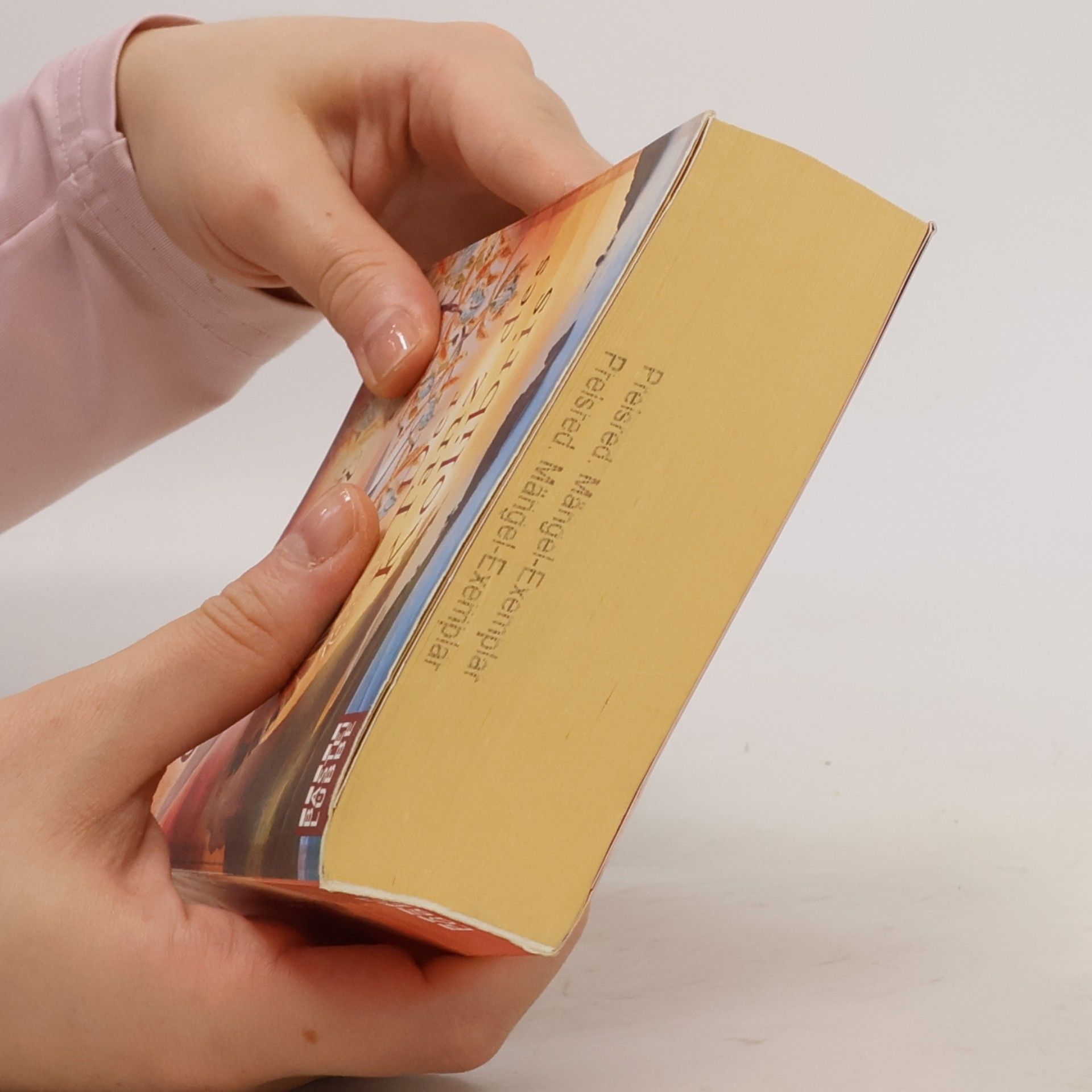 Sofia Caspari Der Tanz des Kolibris