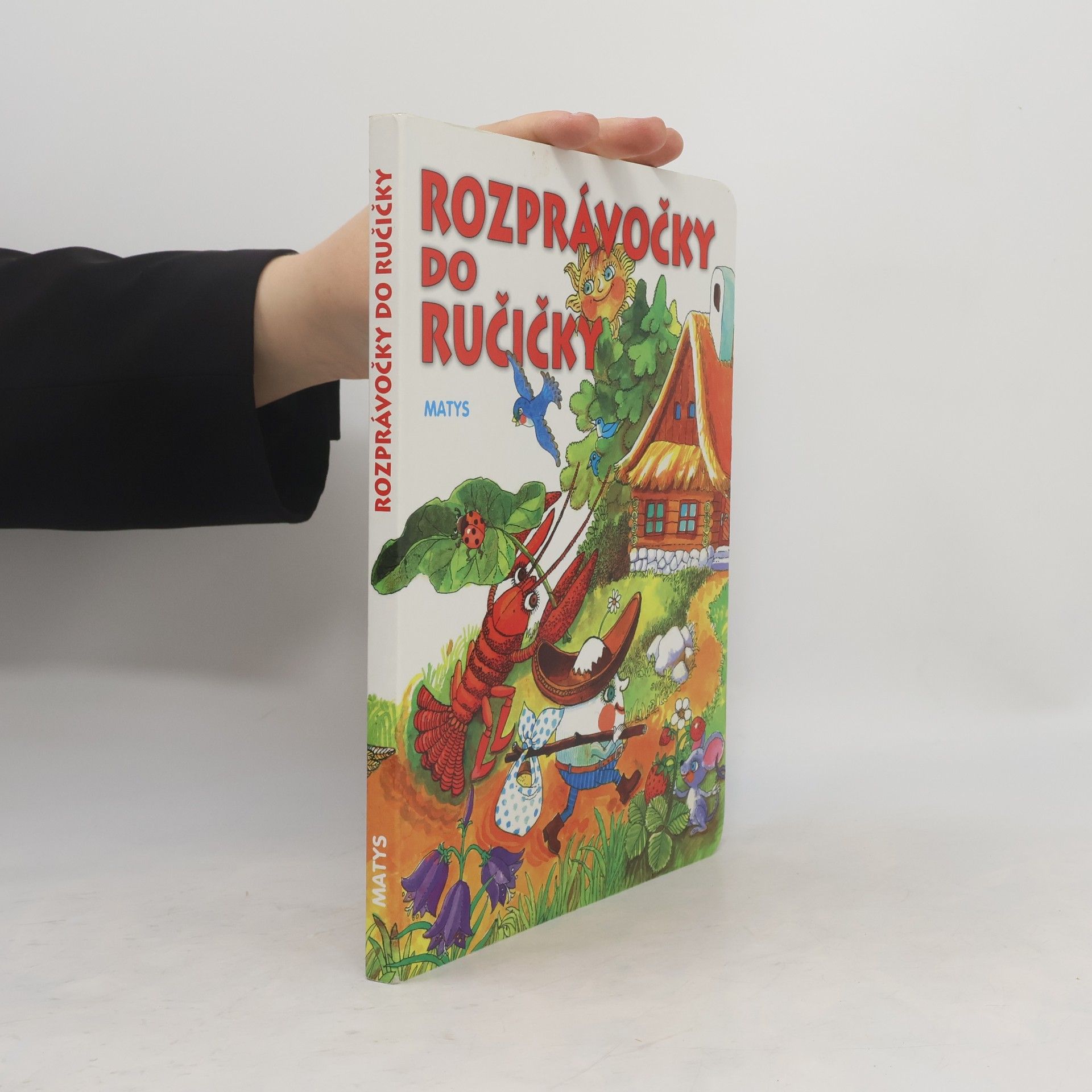 Kolektív autorov Rozprávočky do ručičky