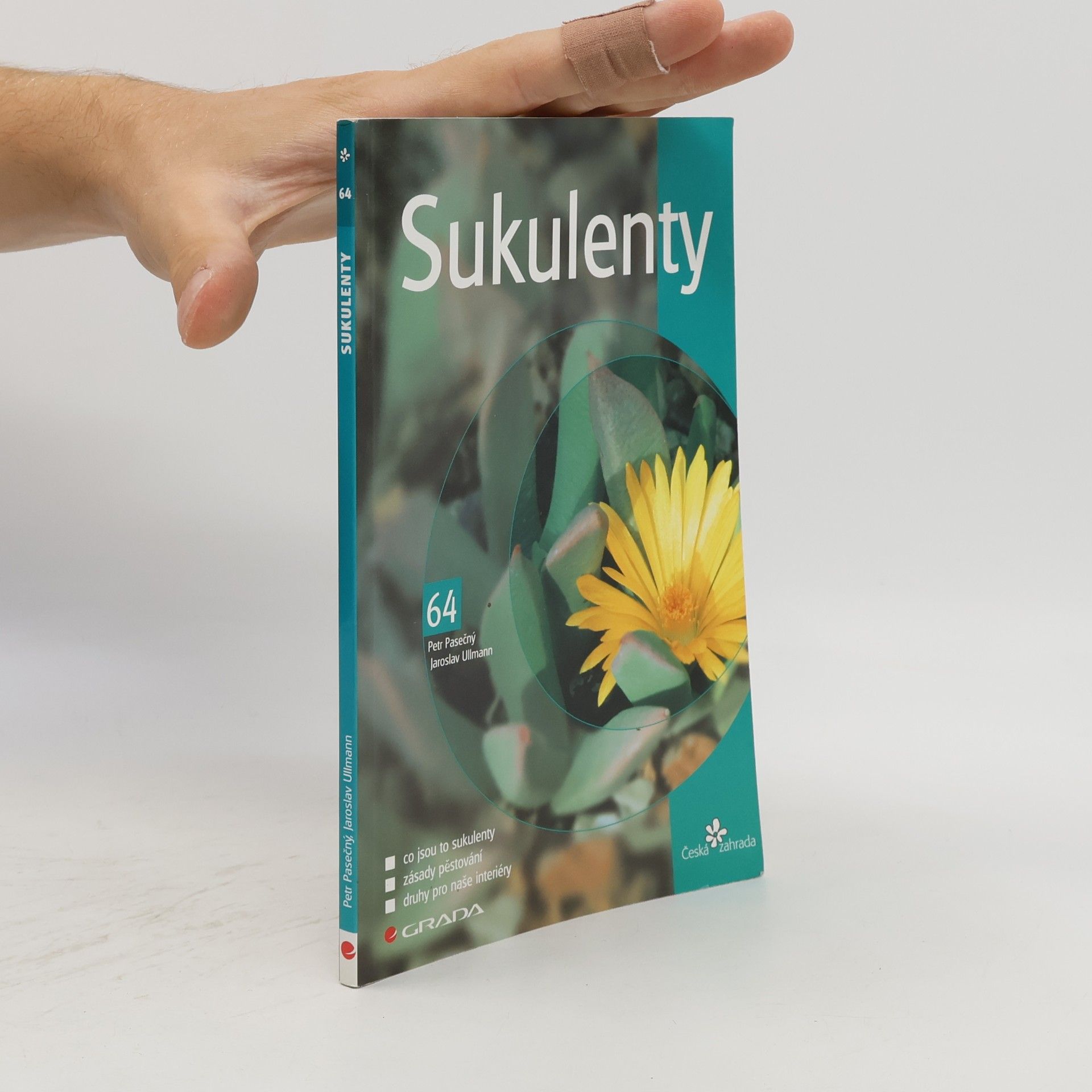 Sukulenty