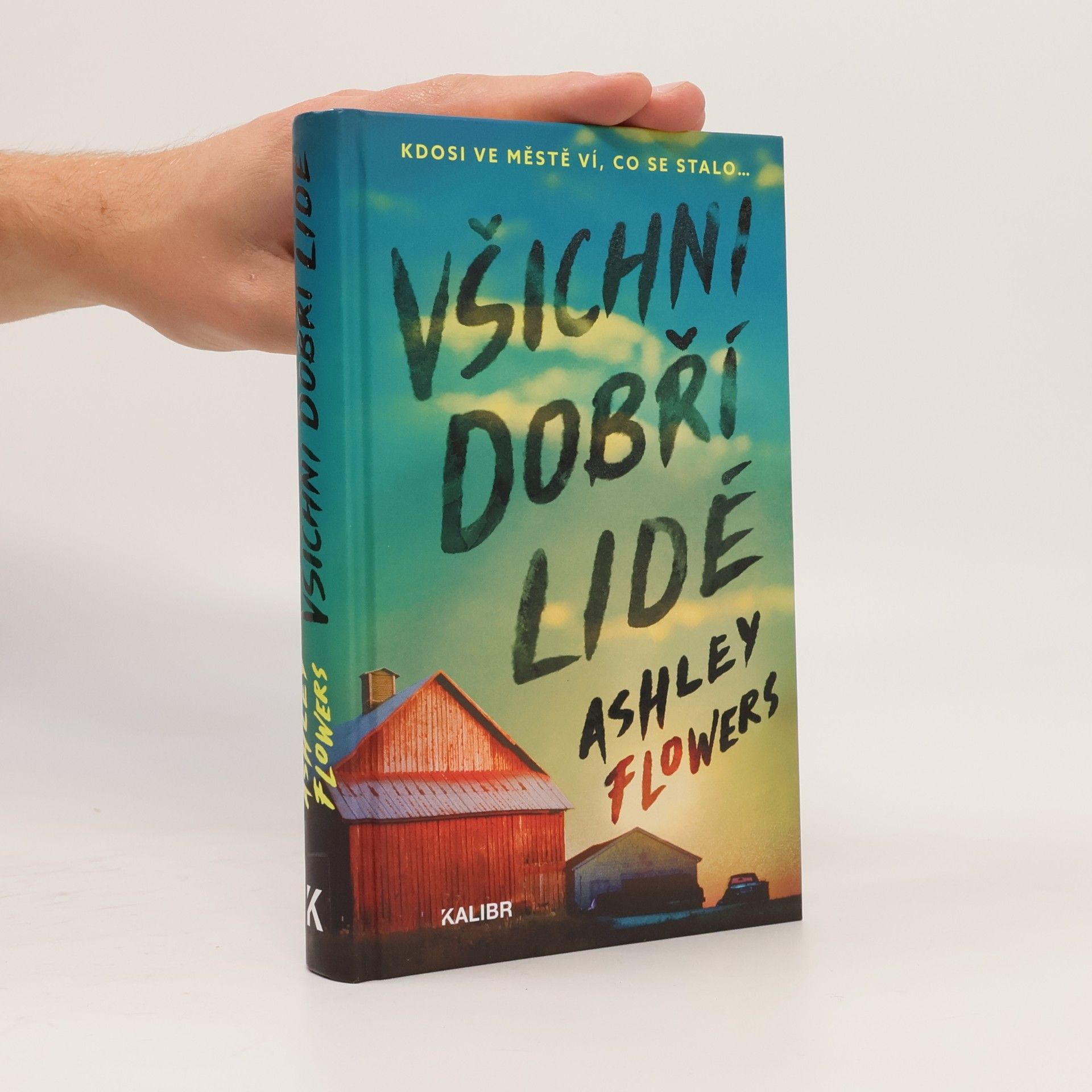 Ashley Flowers Všichni dobří lidé