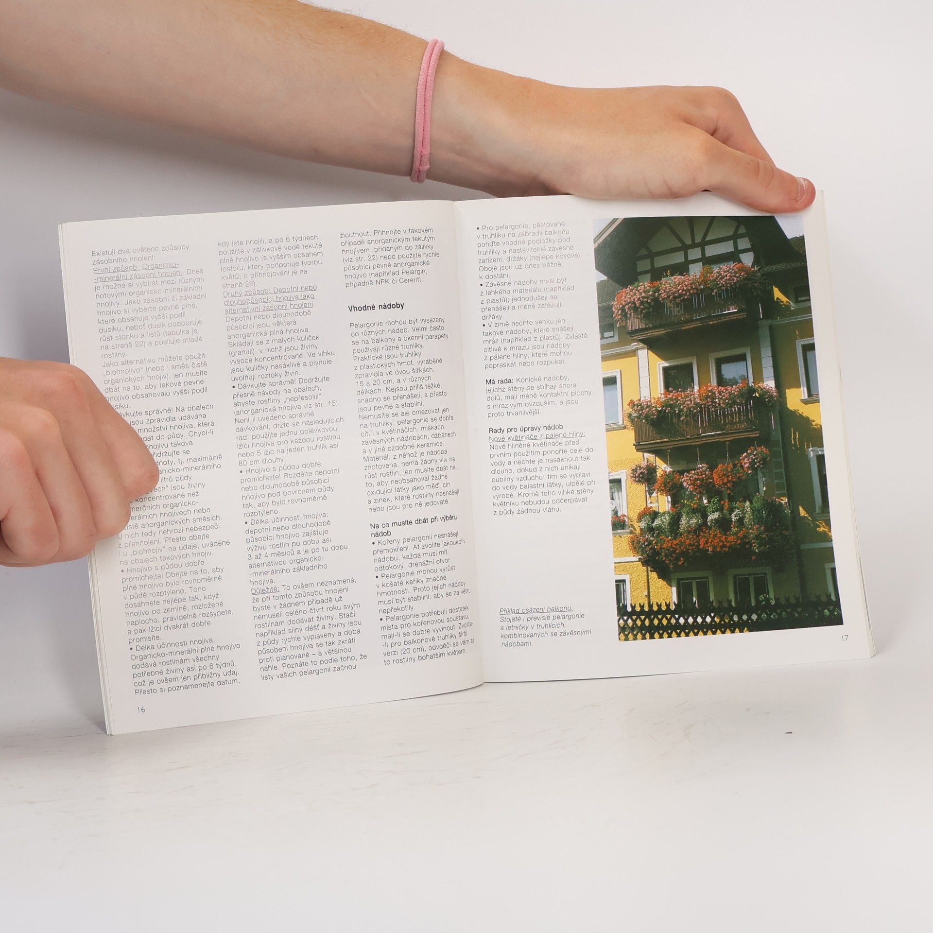Andreas Riedmiller Pelargonie a kakosty: Aby vám bohatě kvetly: Rady odborníků pro nákup, pěstování a množení pelargonií