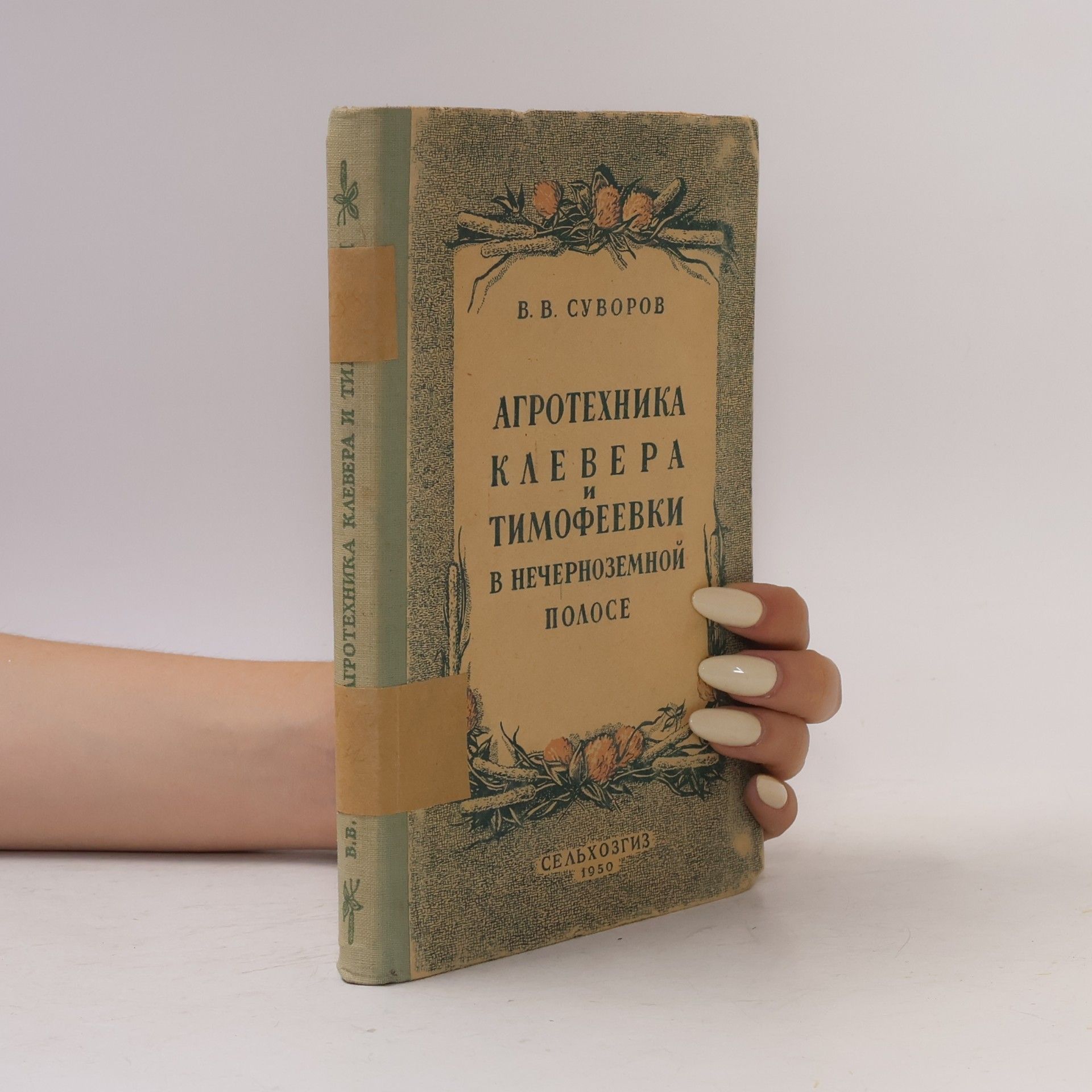 V. V. Suvorov Агротехника клевера и тимофеевки в Нечерноземной полосе