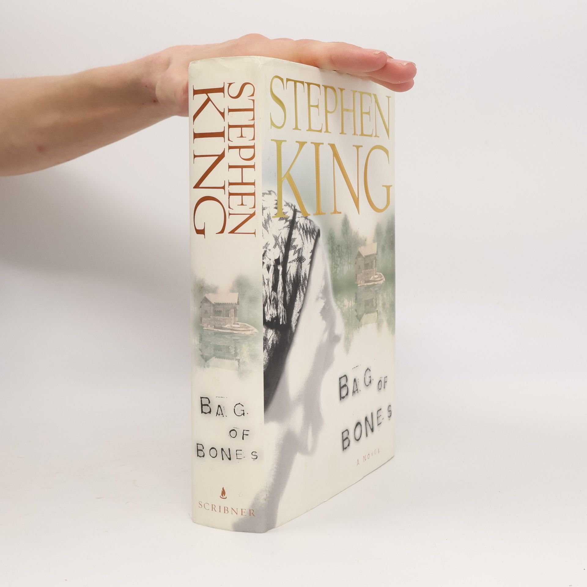 Stephen King Bag of bones