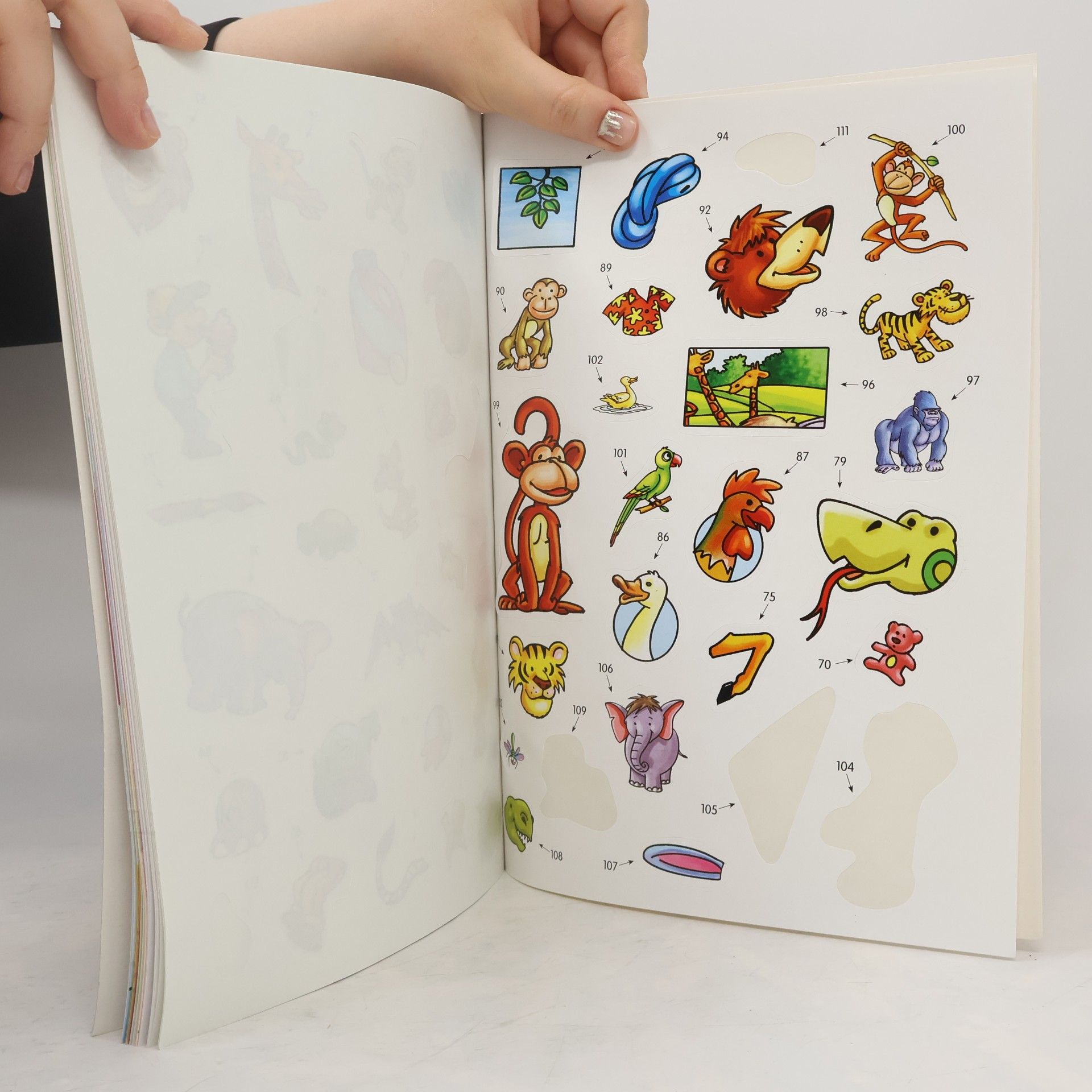 Autorenkollektiv Aktivity v zoologickej záhrade