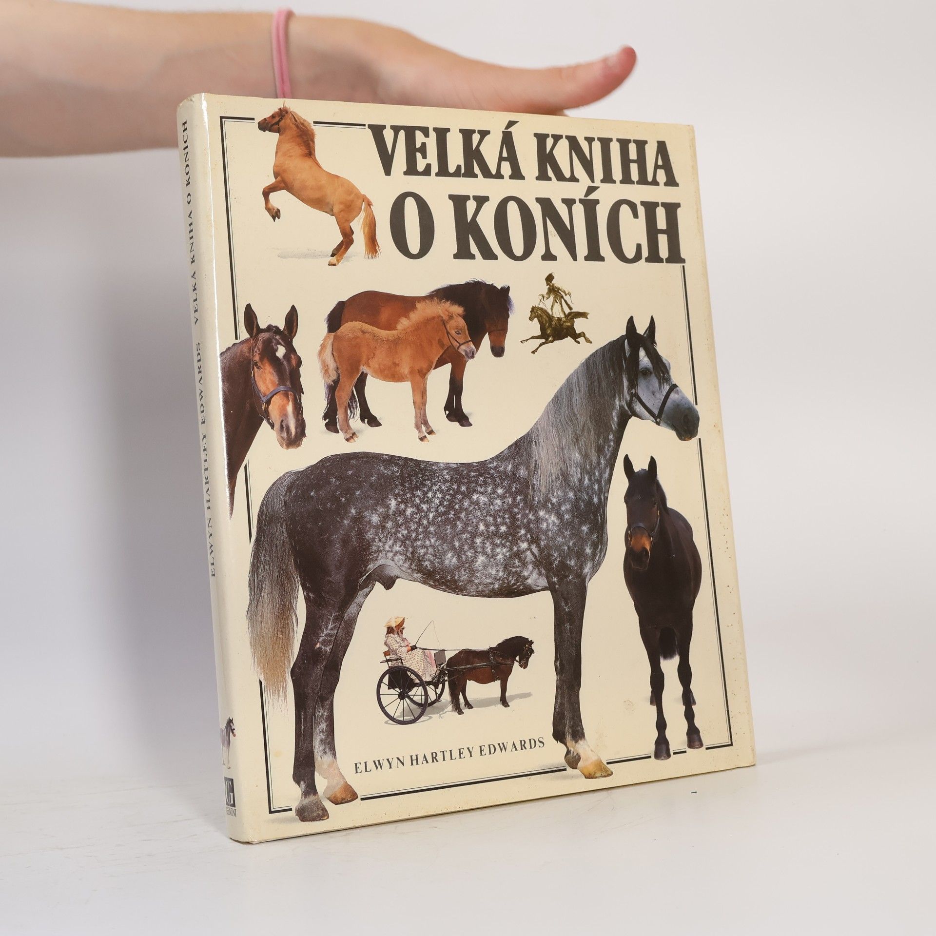 Elwyn Hartley Edwards Velká kniha o koních