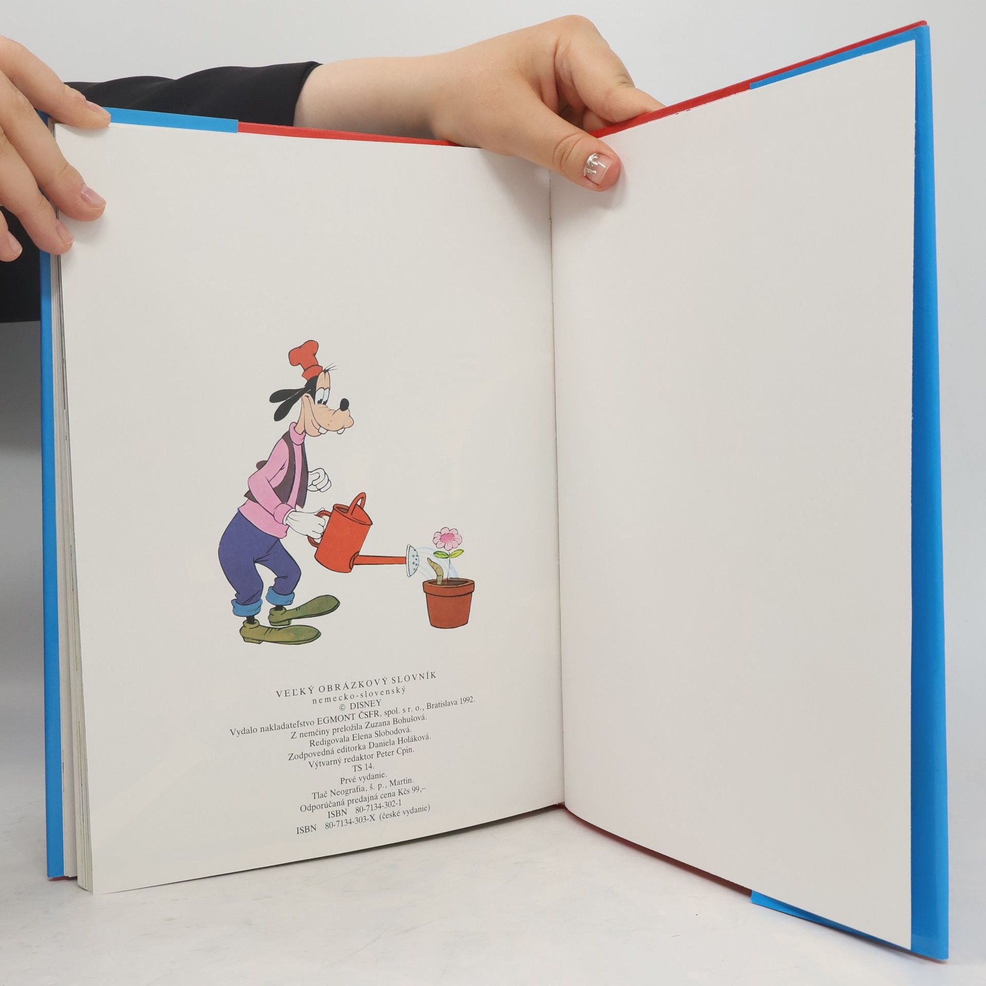 Walt Disney Veľký obrázkový slovník německo-slovenský
