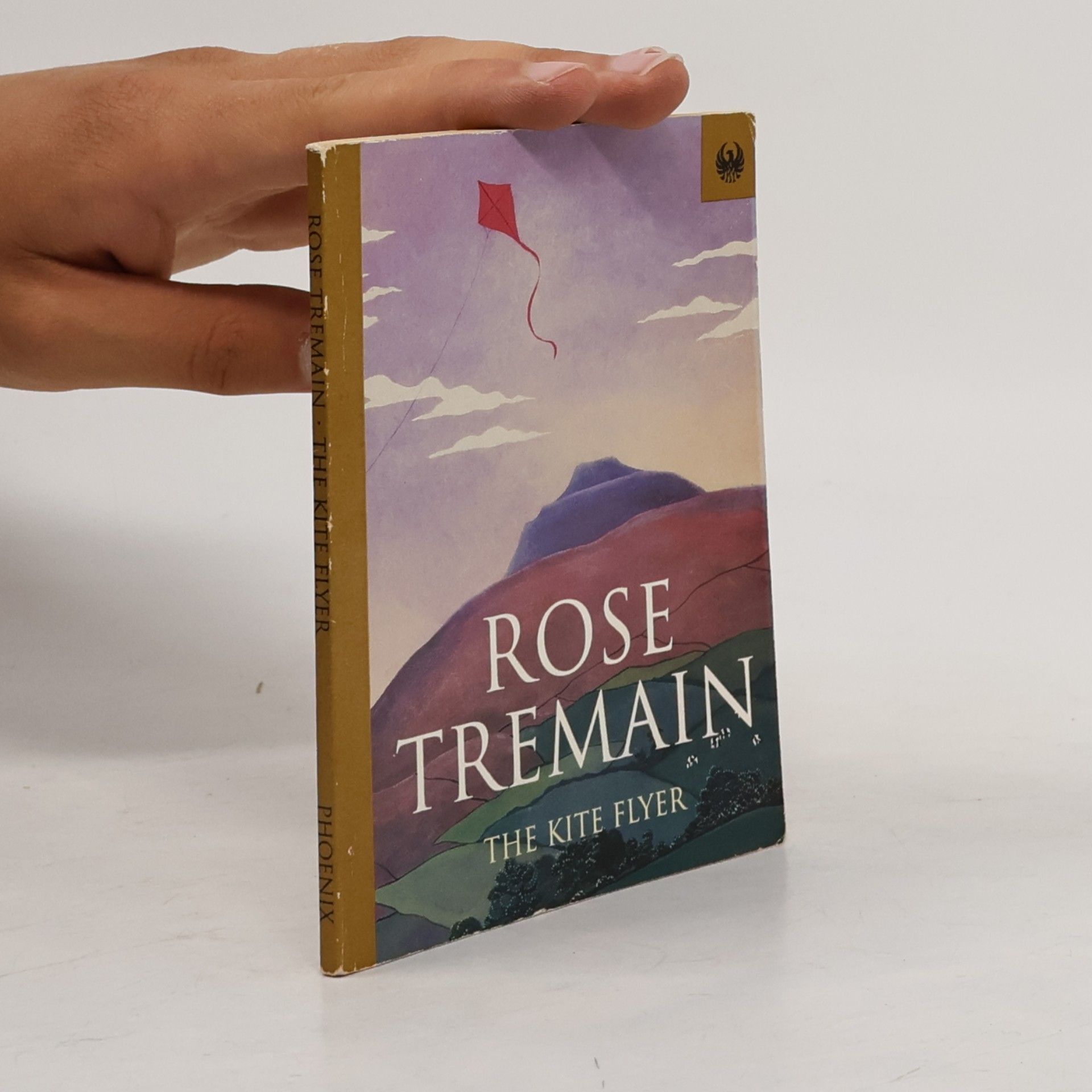 Rose Tremain The Kite Flyer