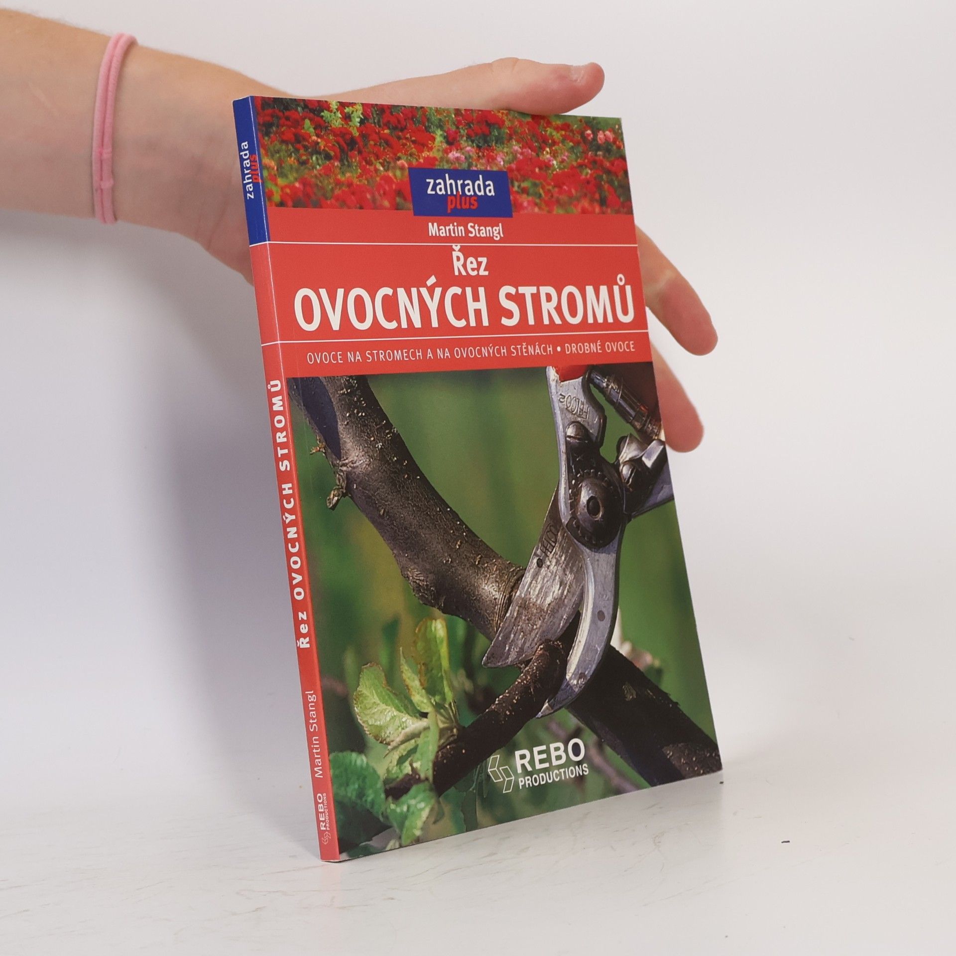 Řez ovocných stromů