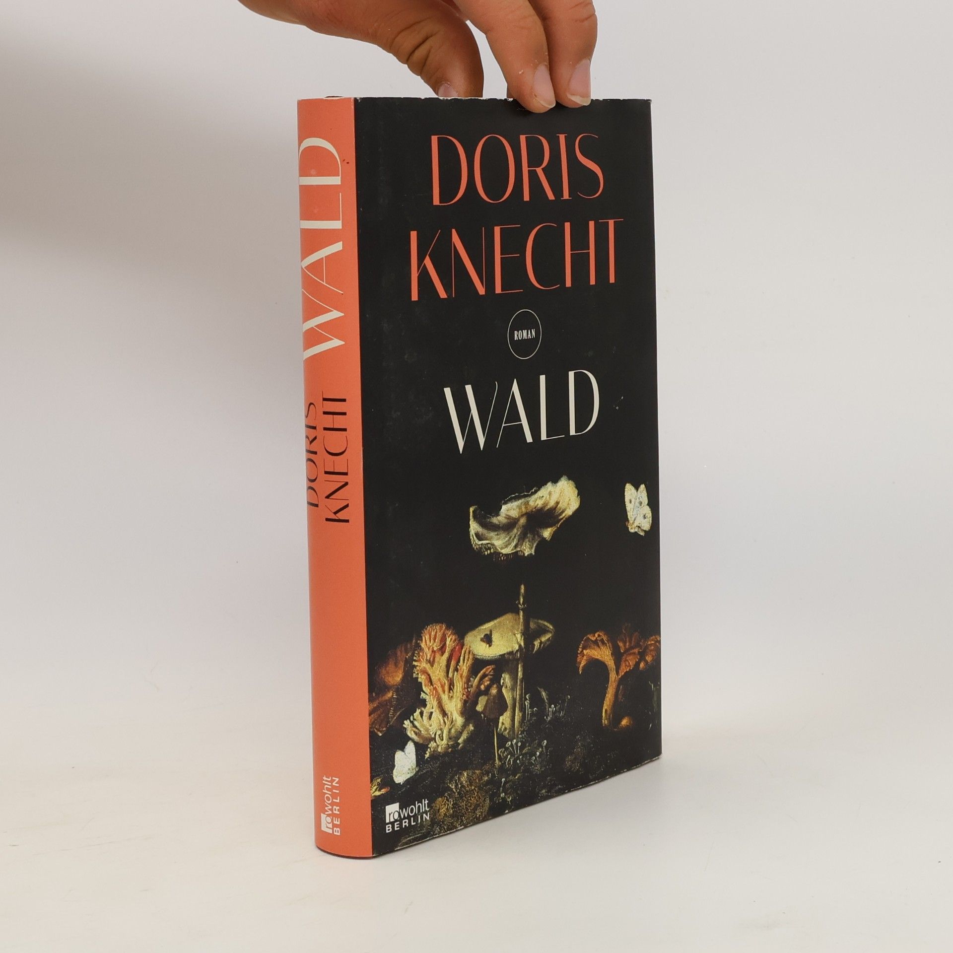 Doris Knecht Wald