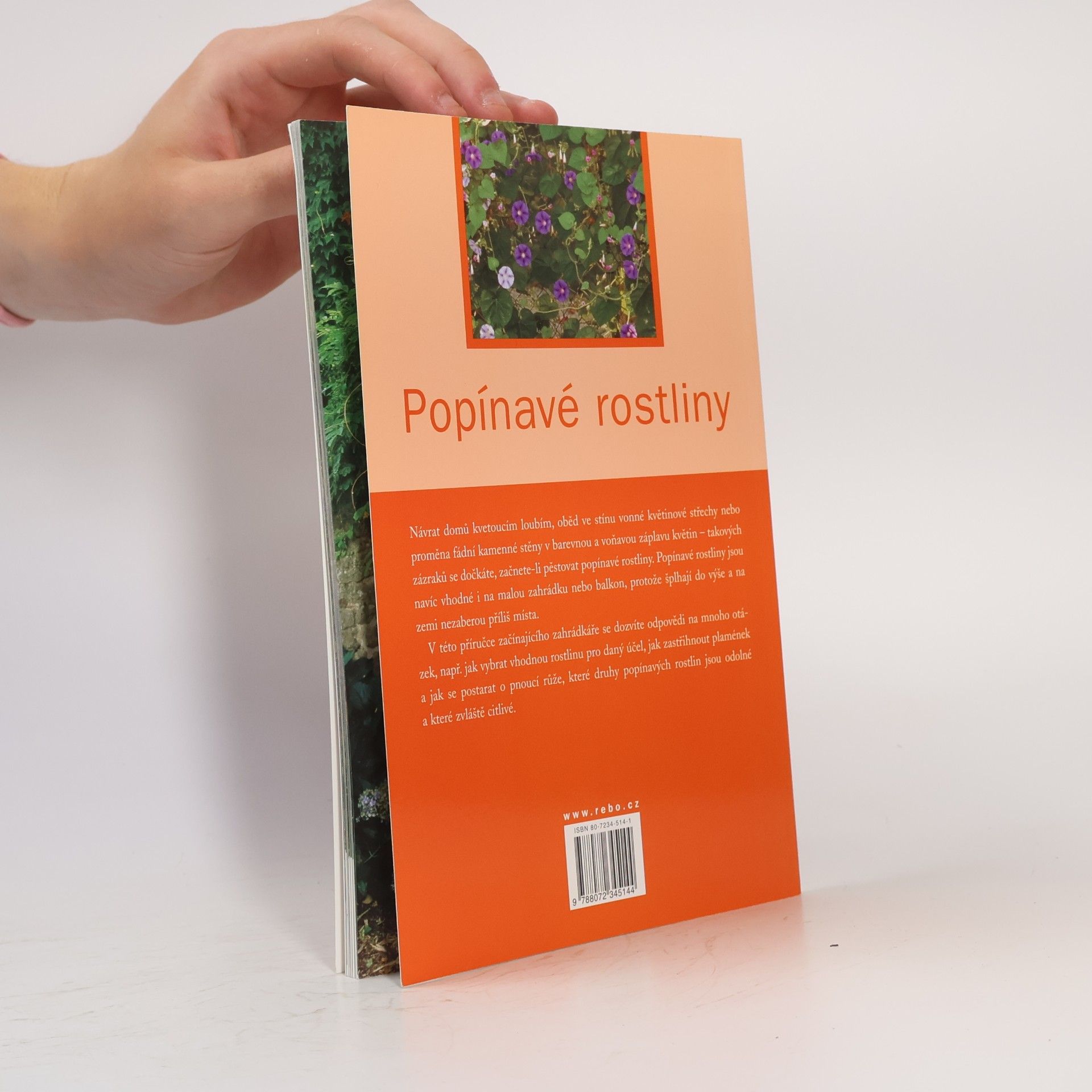 Renée Laros Popínavé rostliny