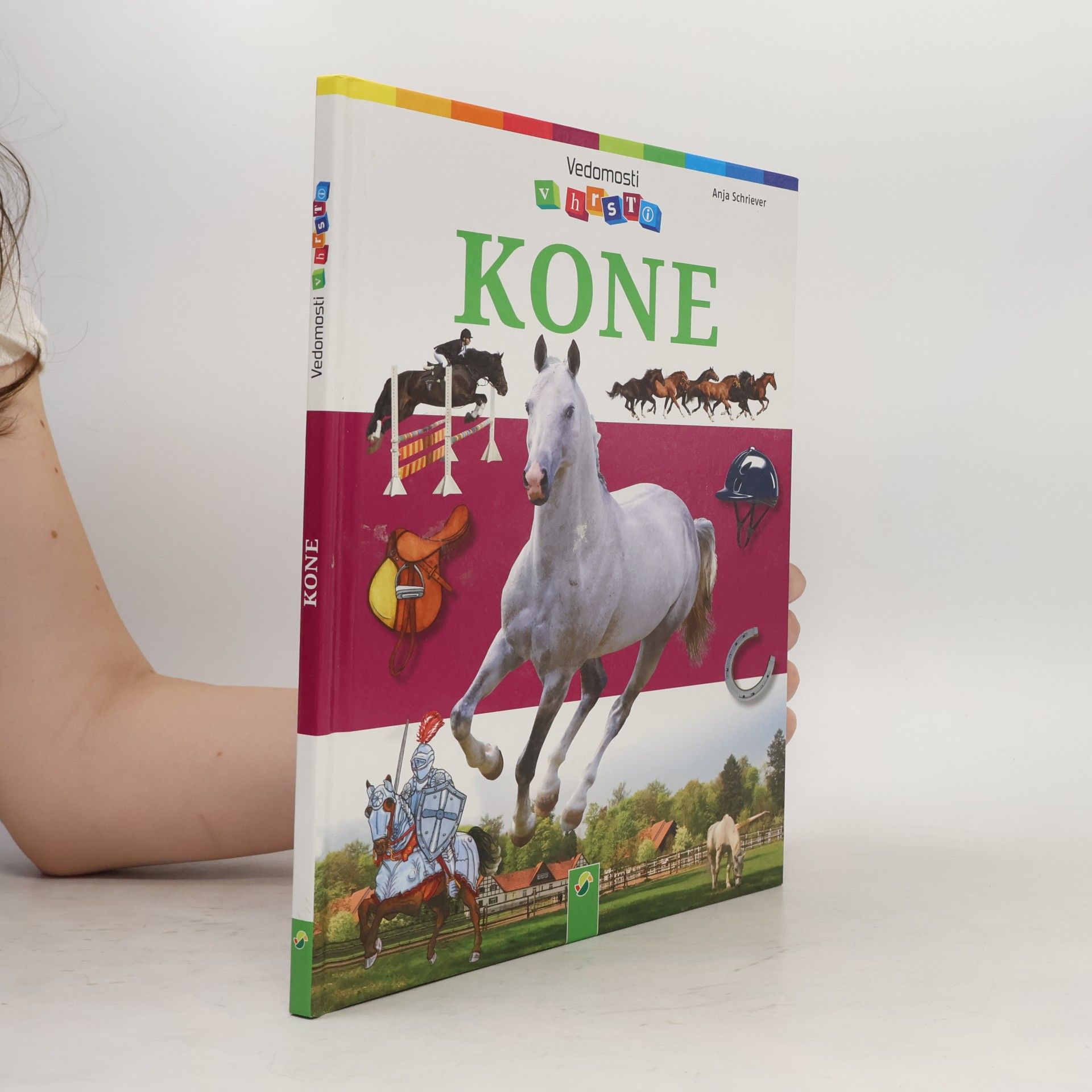 Anja Schriever Kone