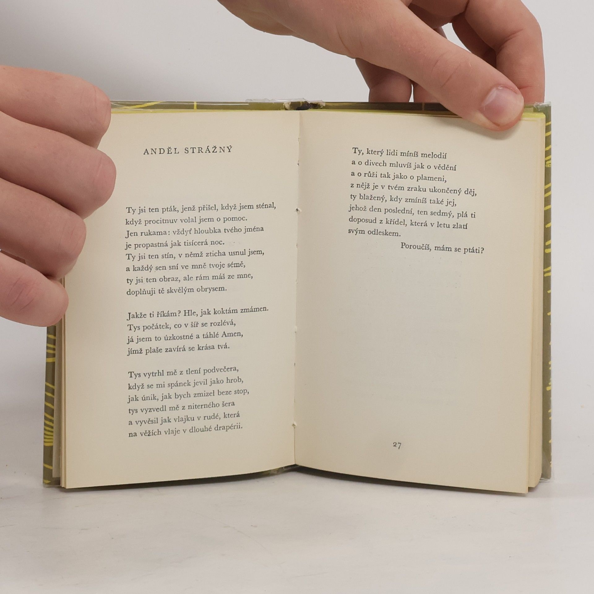 Rainer Maria Rilke Kniha obrazů