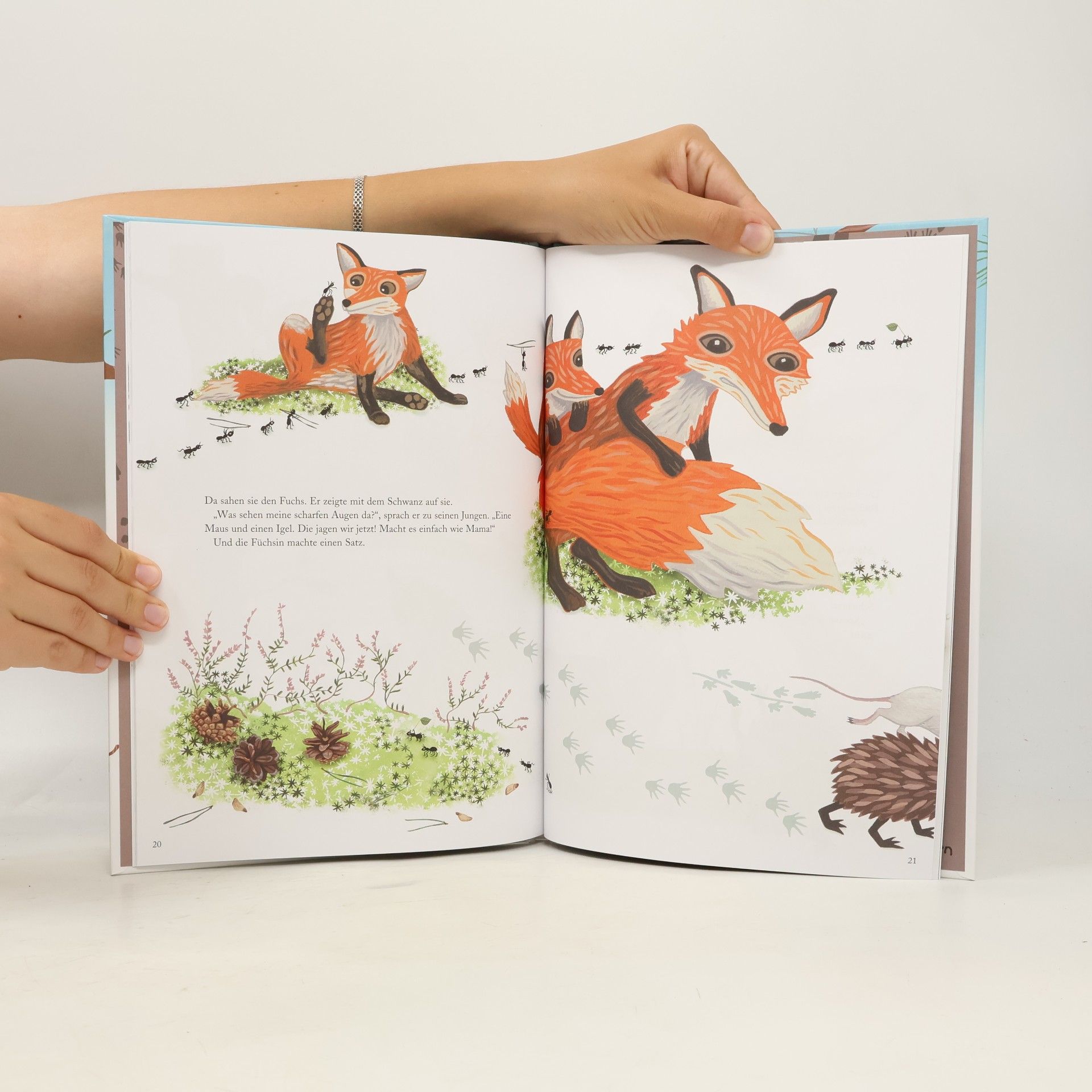 Autores varios Der Igel kommt allein zurecht