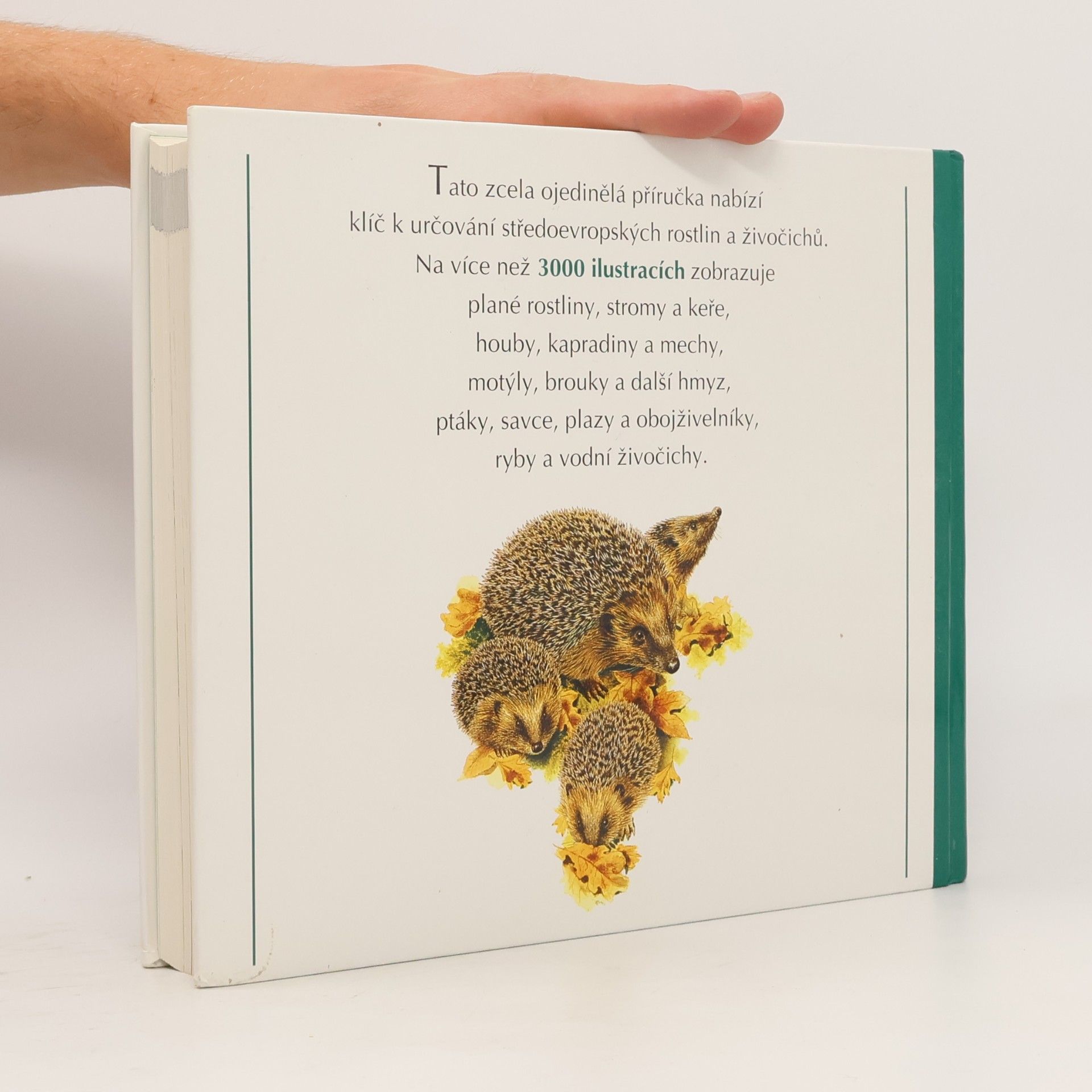 Collectif d'auteurs Naše příroda