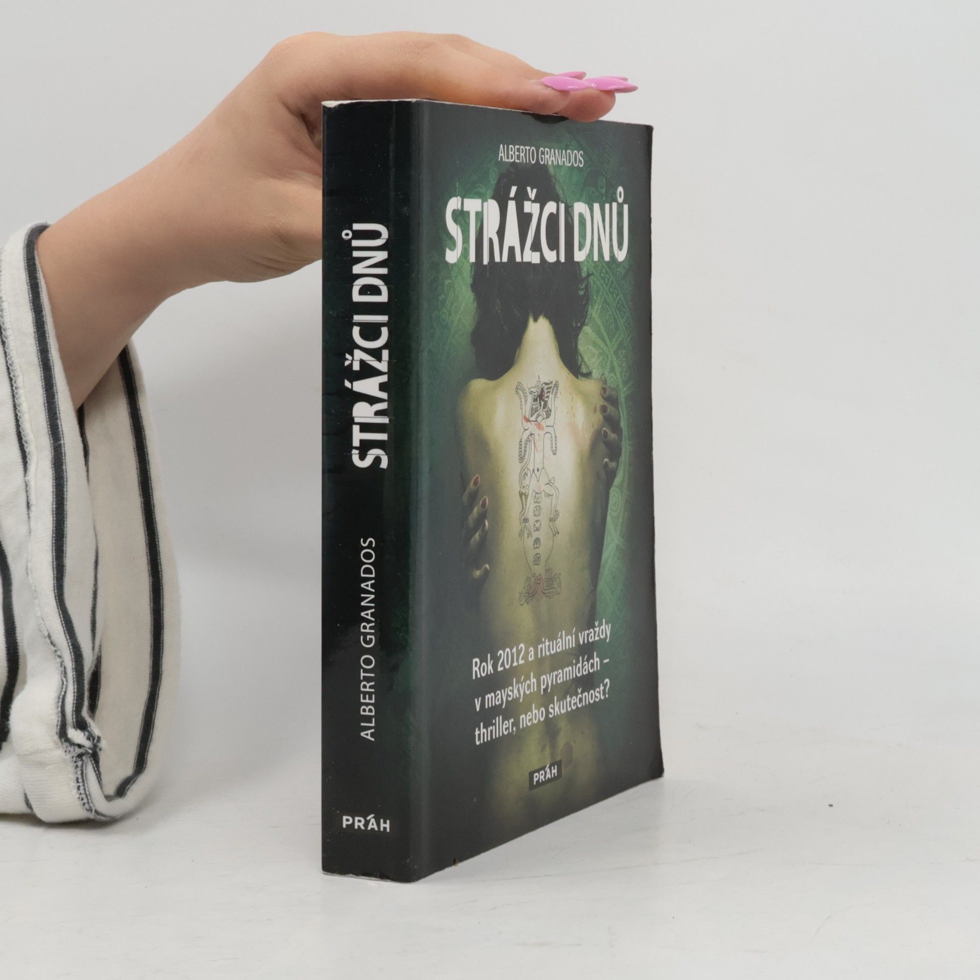 Strážci dnů : rok 2012 a rituální vraždy v mayských pyramidách - thriller, nebo skutečnost?