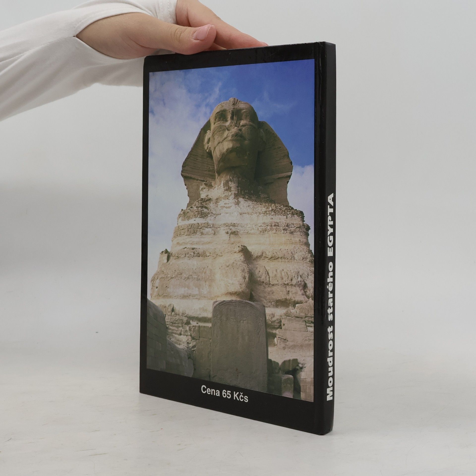 Břetislav Vachala Moudrost starého Egypta