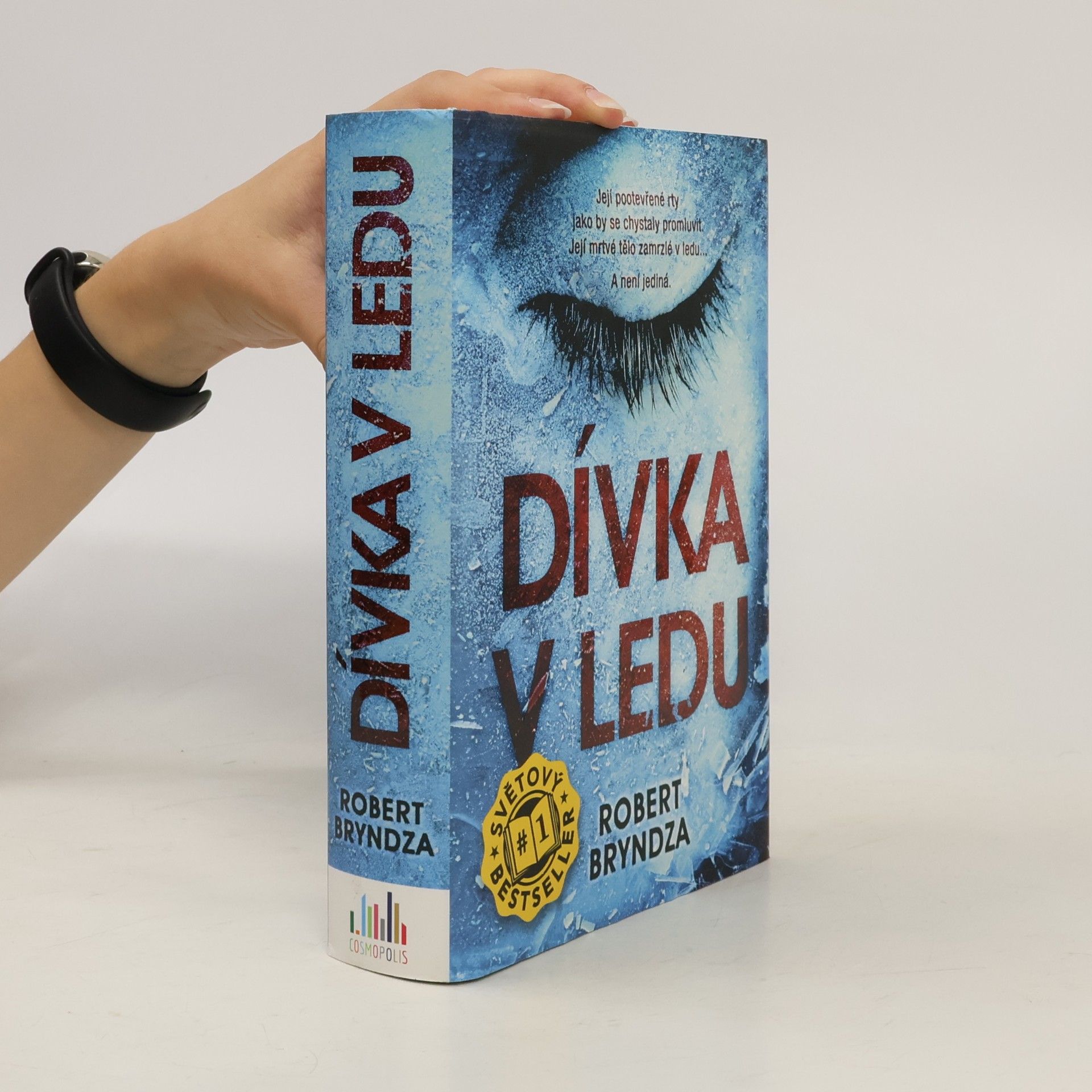 Robert Bryndza Dívka v ledu